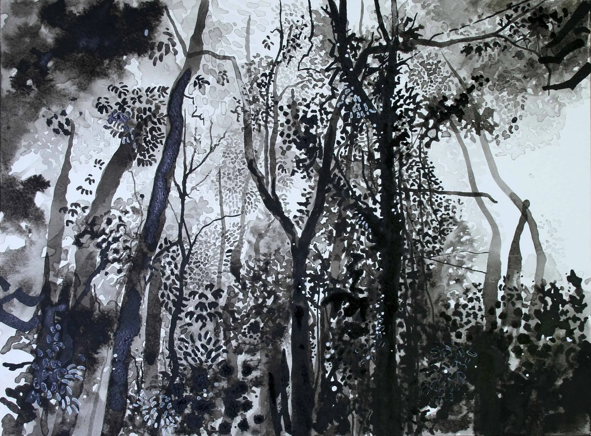 Kakamega. Acrylic on paper