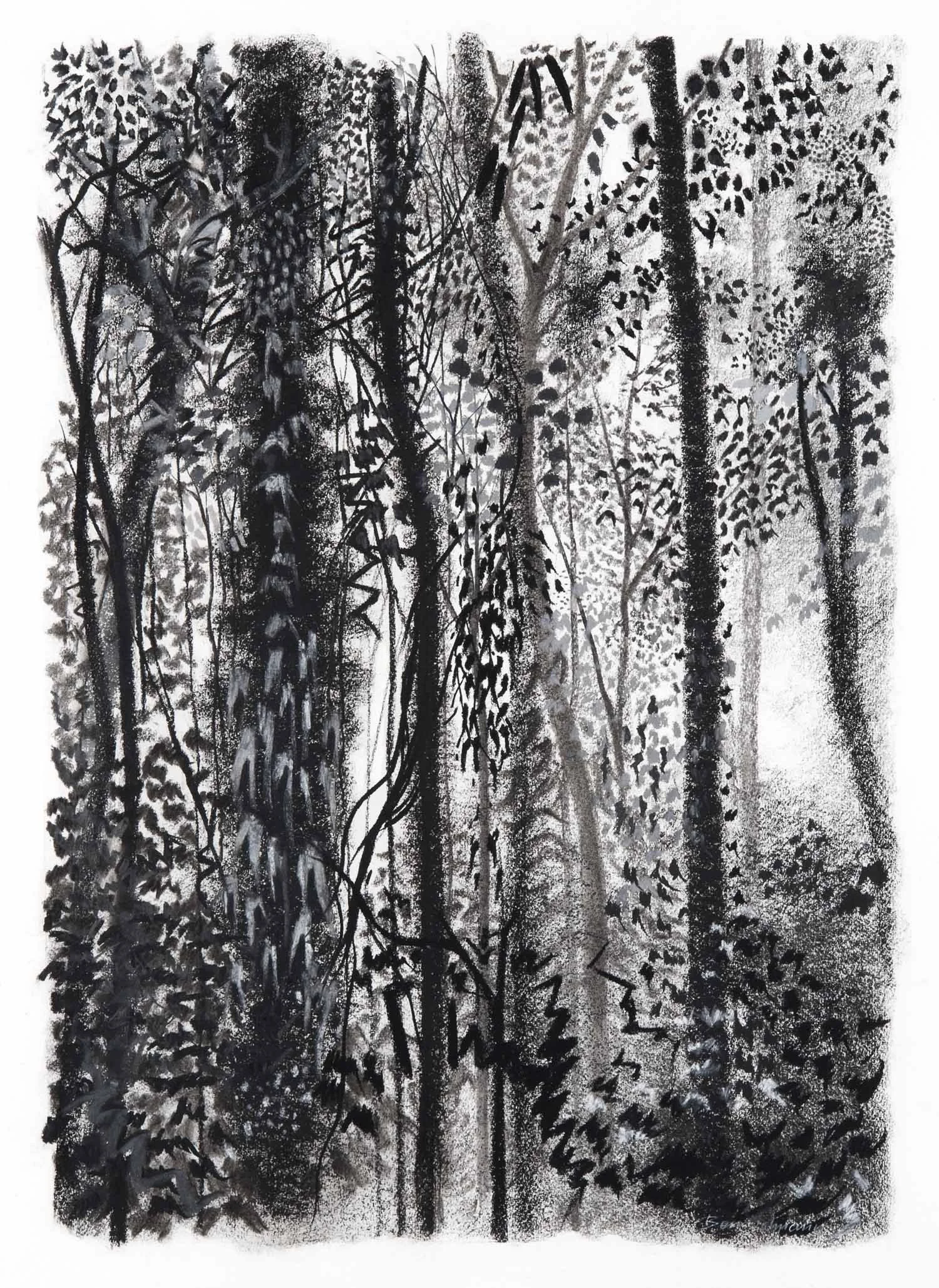 Kakamega Forest, Kenya (2)  Charcoal and graphite 90x68cm (mounted)