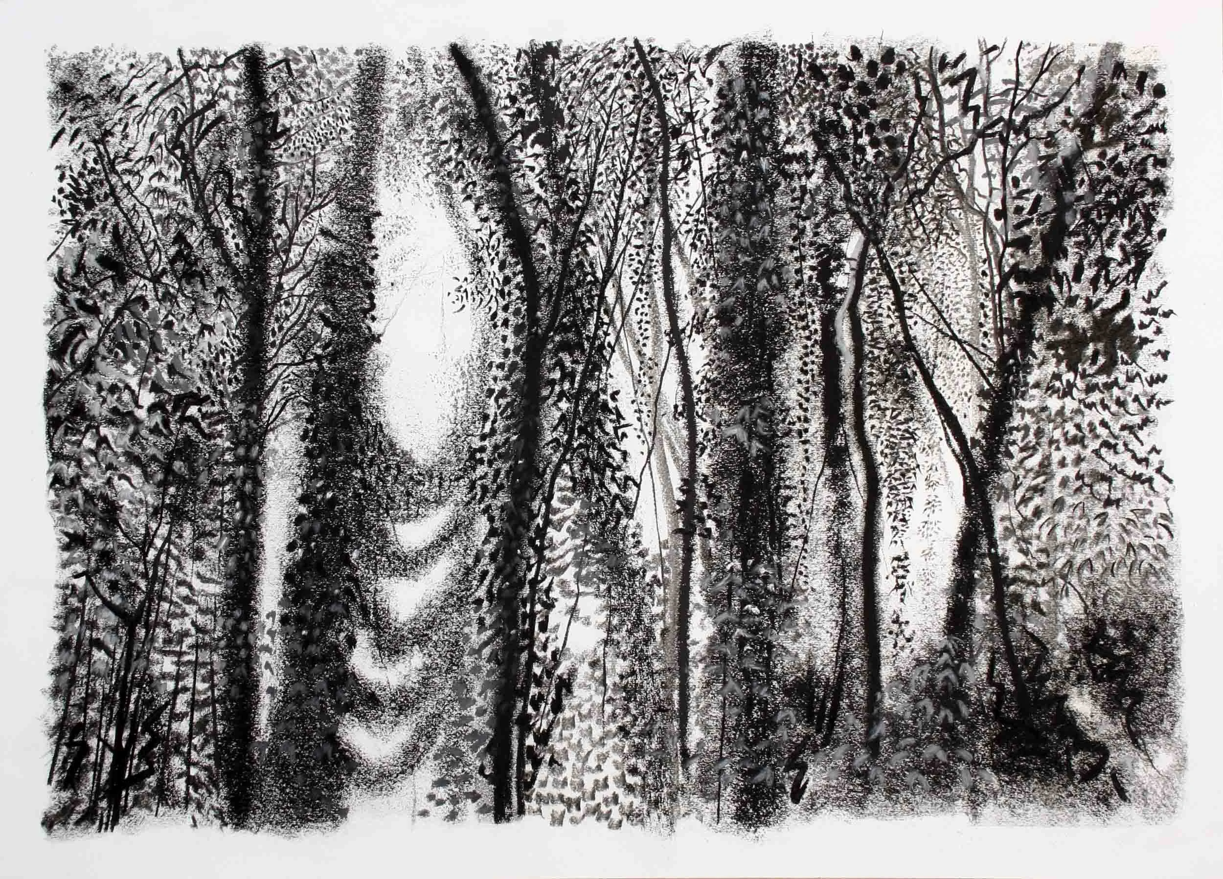 Kakamega forest (3). Charcoal and graphite 88 x 70cm (mounted)