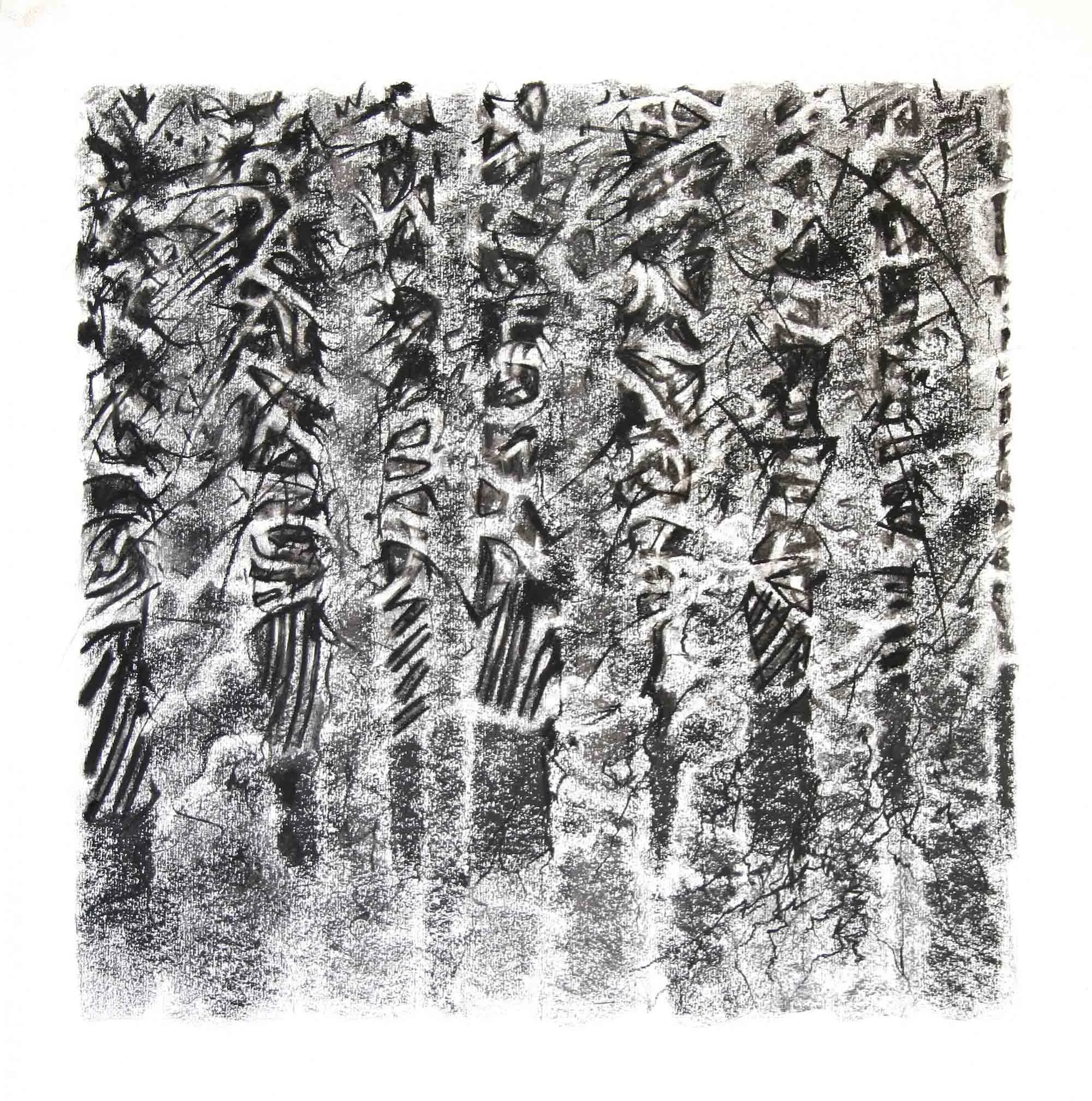 Kakamega forest (7)  Kenya. Charcoal and chalk. 70 x 70cm