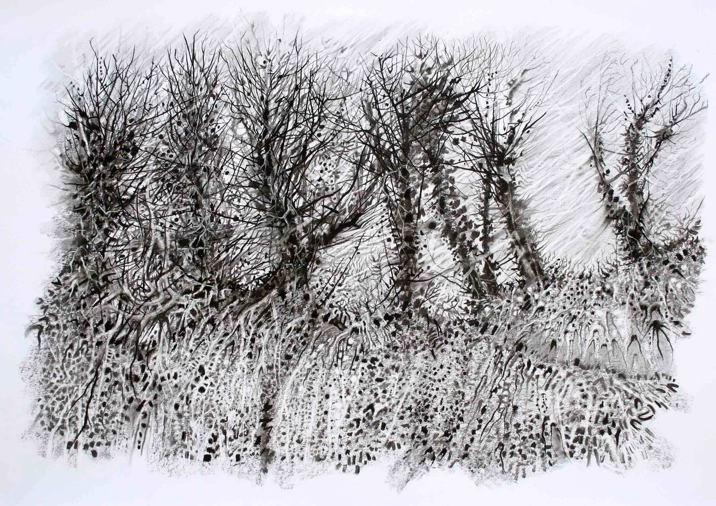 Hedgerow with roots Charcoal and chalk. 94 x 75cm