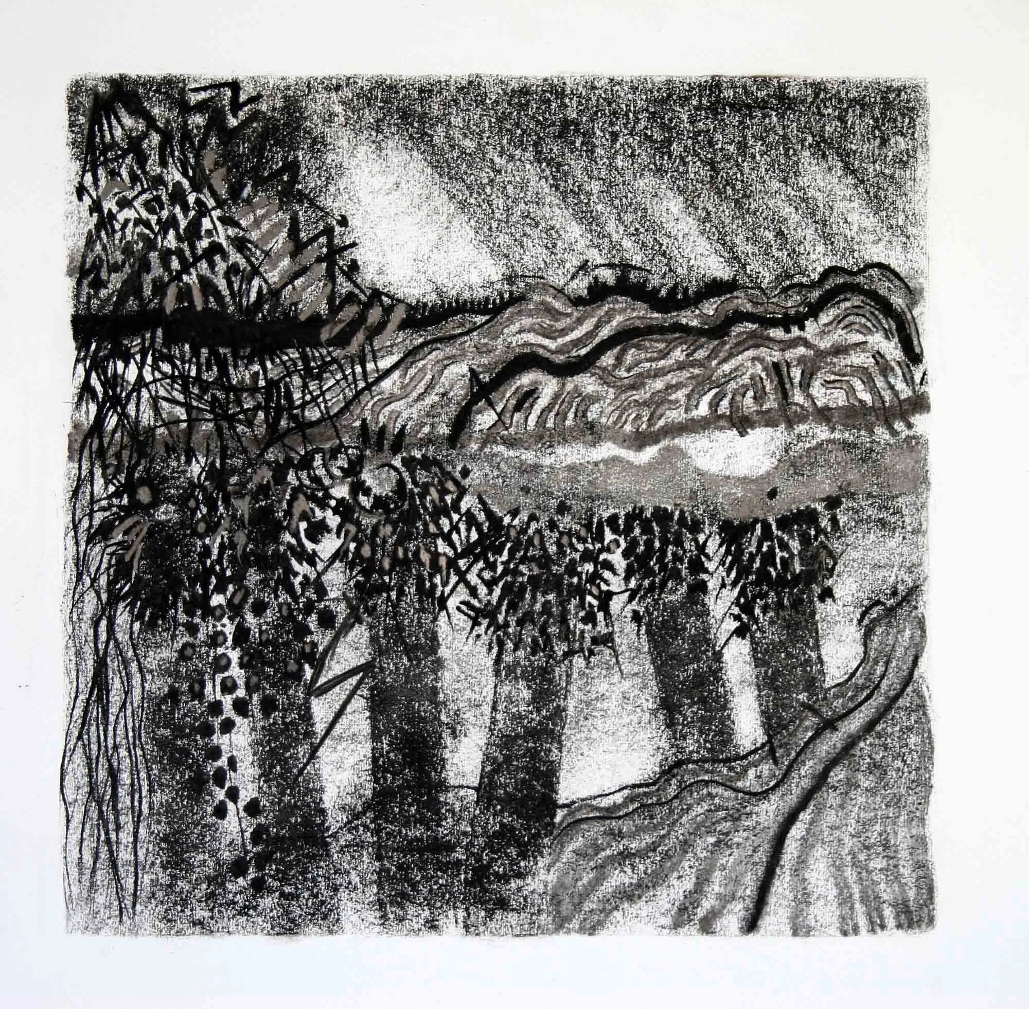 Rift Valley Abstract  Charcoal and graphite 59x42cm