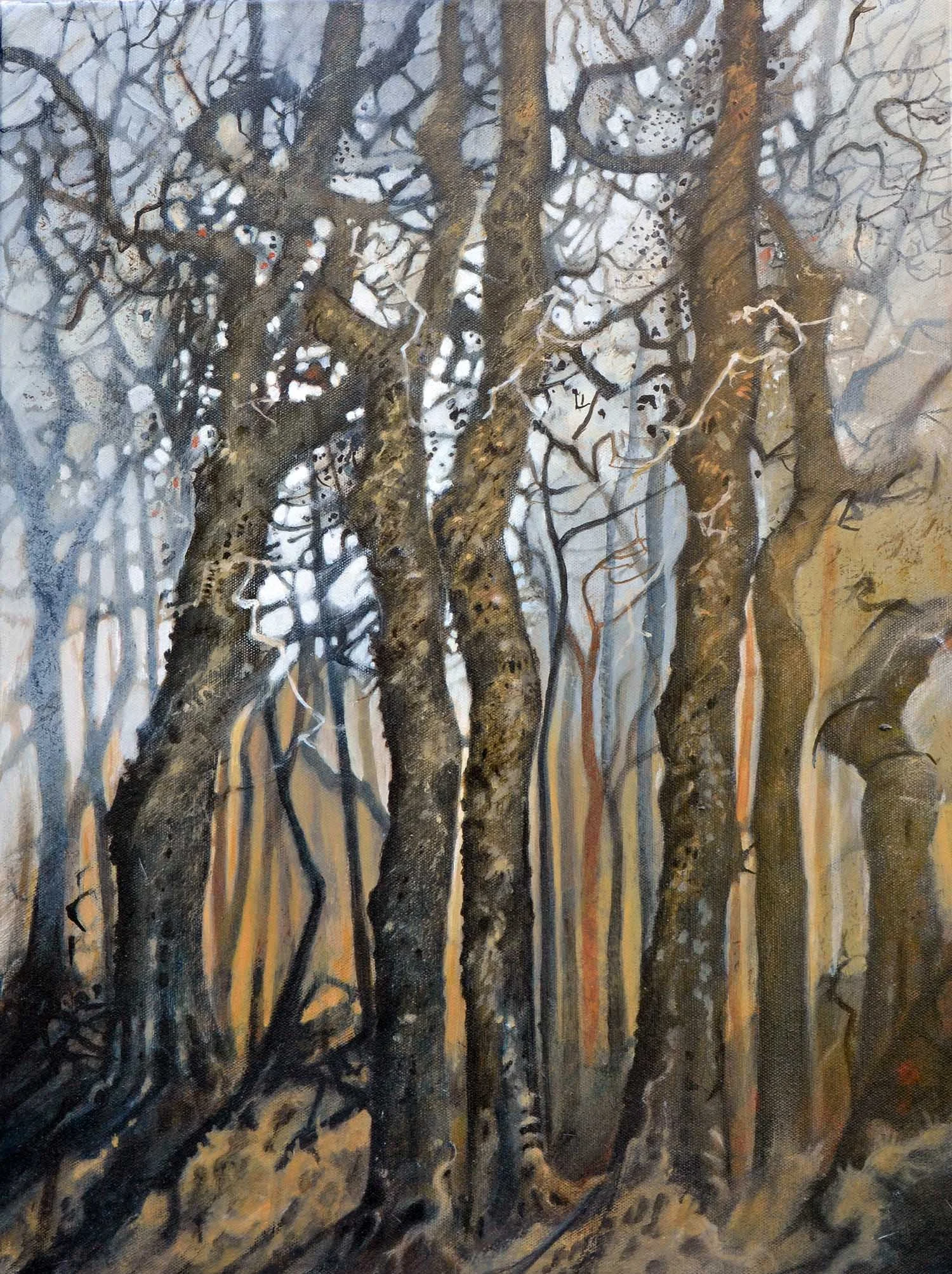 Golden wood Five Oaks, Dartmoor  60 x 46cm. Oil on Canvas