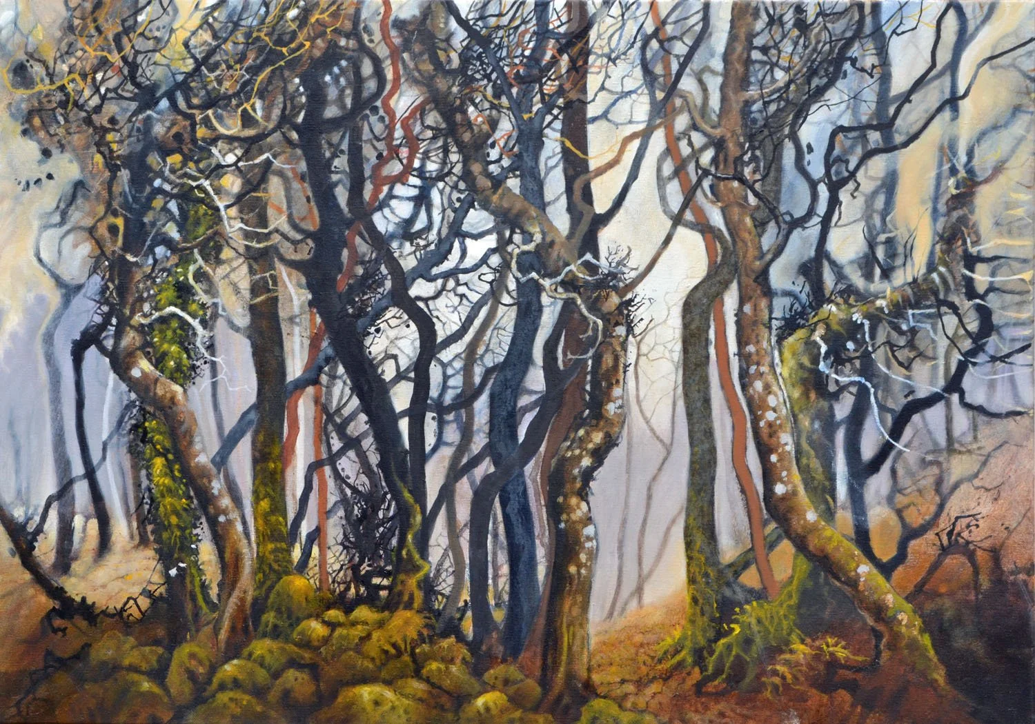 Golden Wood, Dartmoor 84x60cm. Oil on canvas