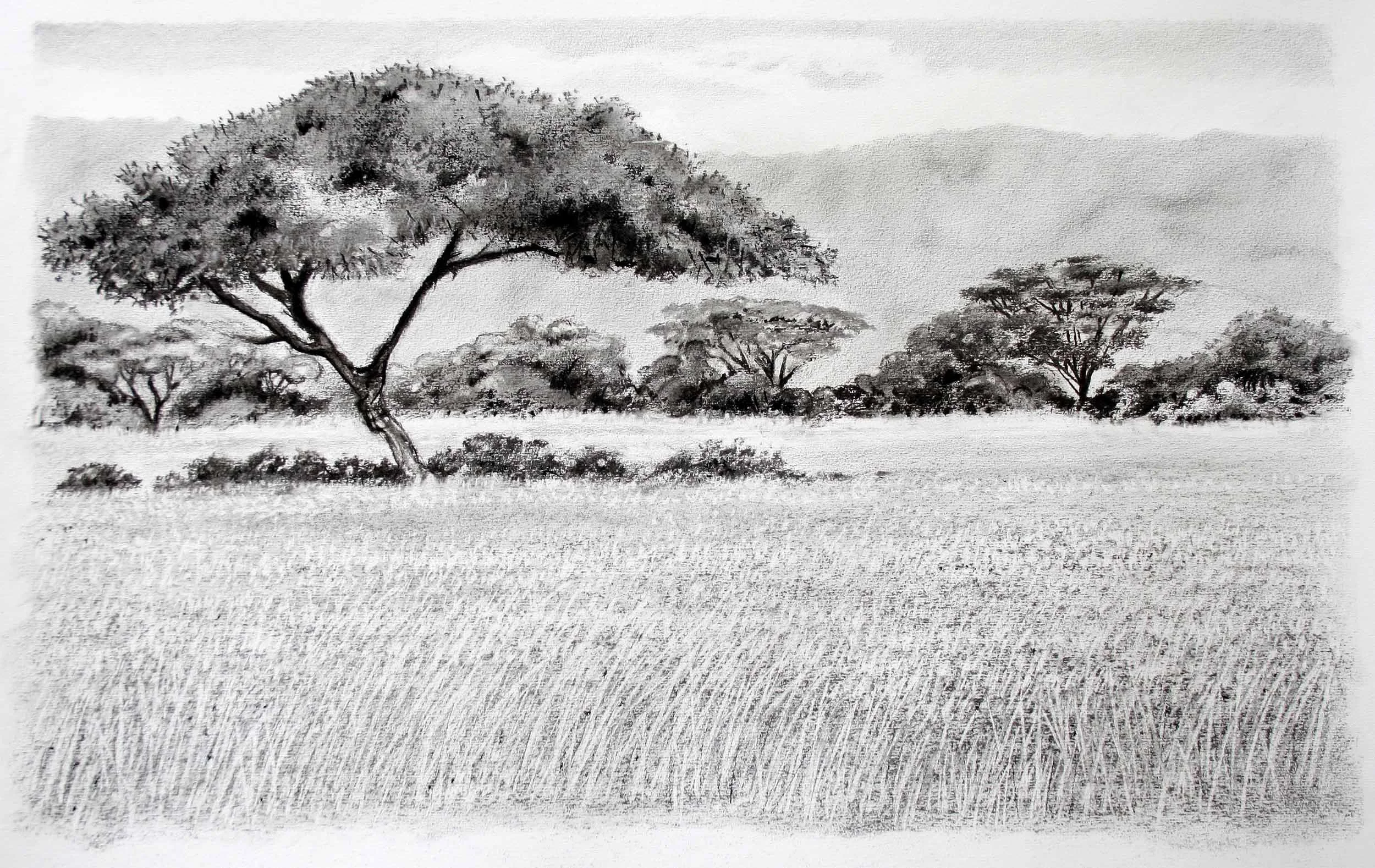 Hells Gate Naivasha 78 x 60cm Graphite and black chalk