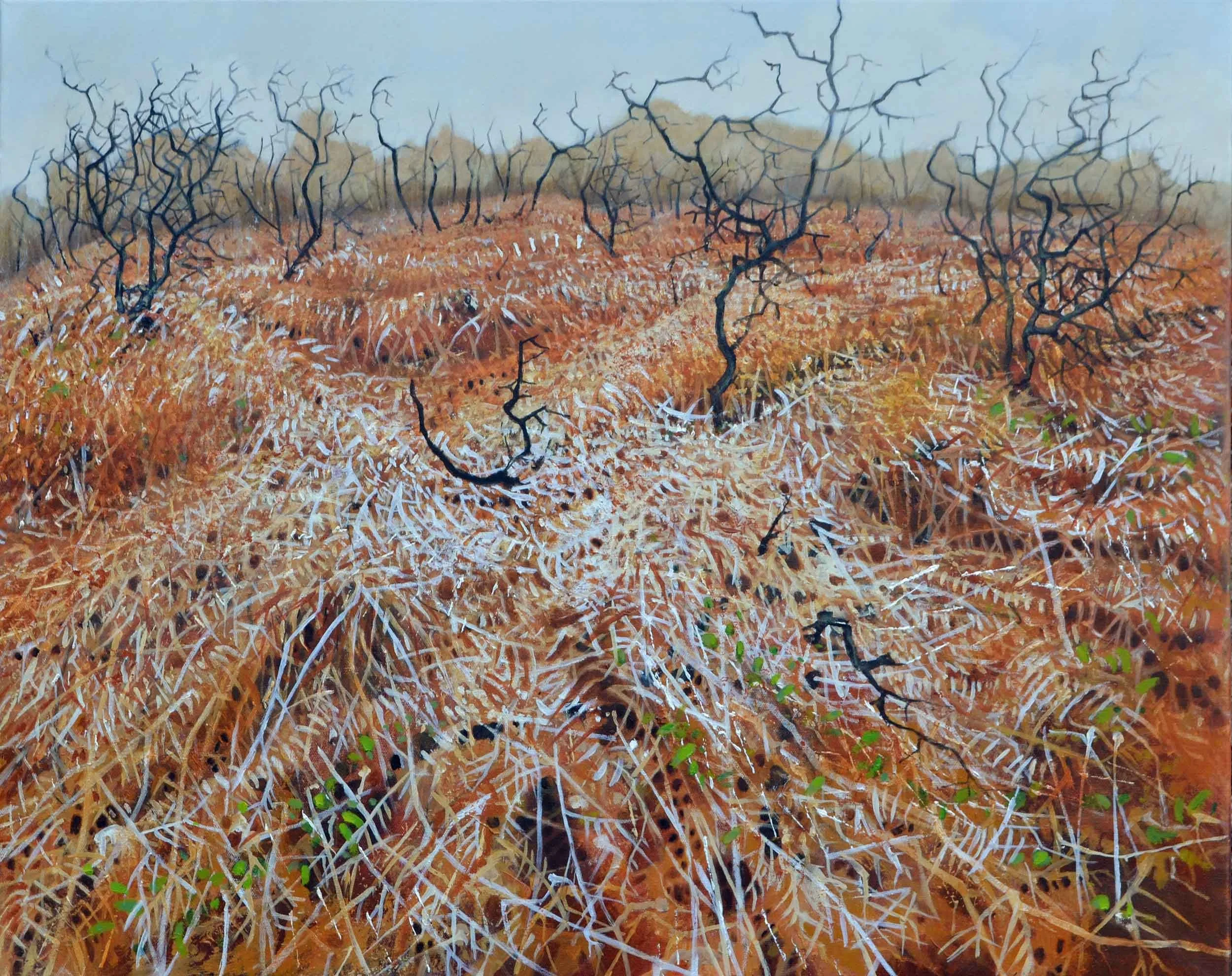 A landscape in oils of a field full of bracken, under a hazy sky.
