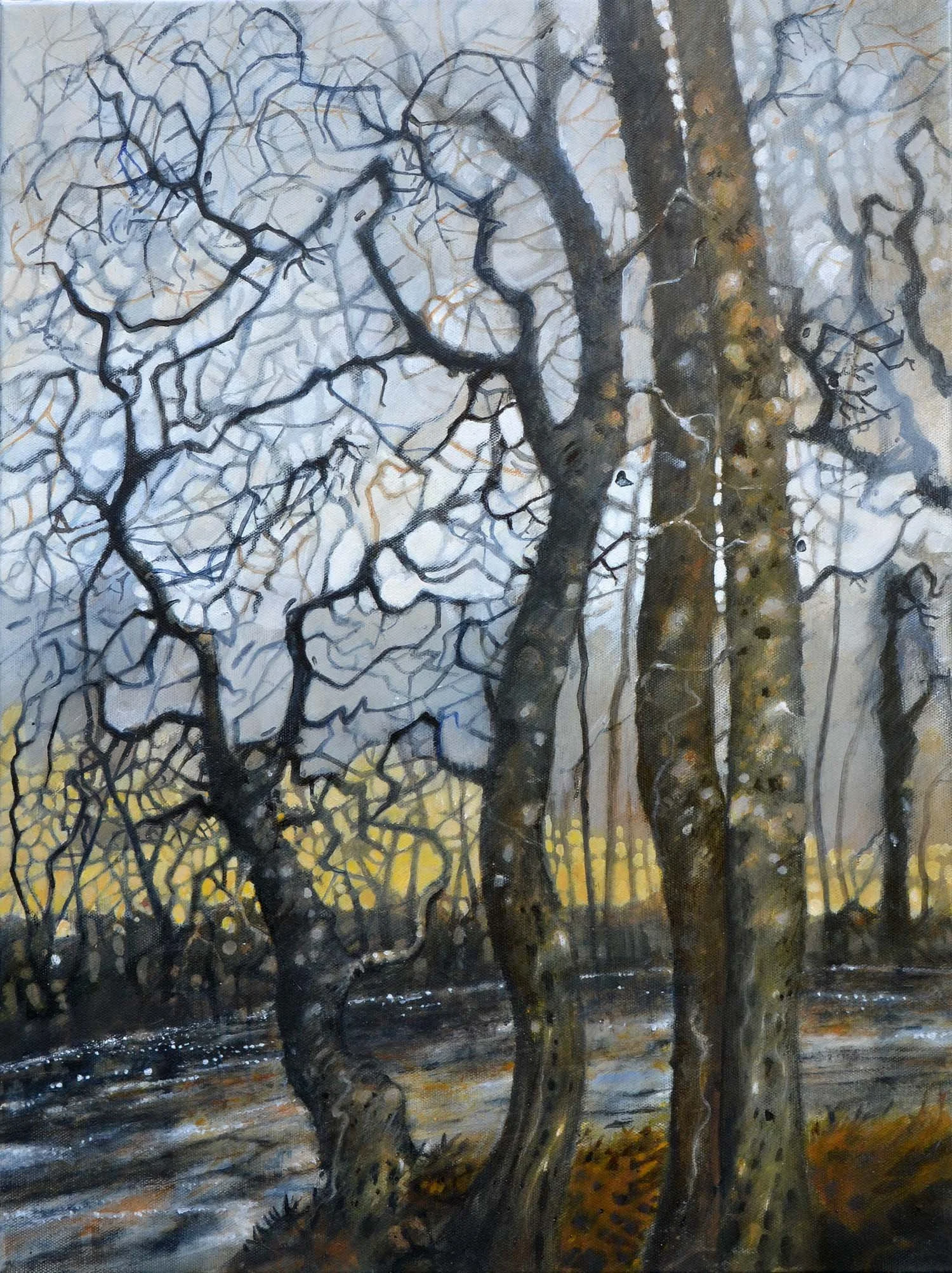 Four trees with stream, Dartmoor  46x60cm  Oil on canvas