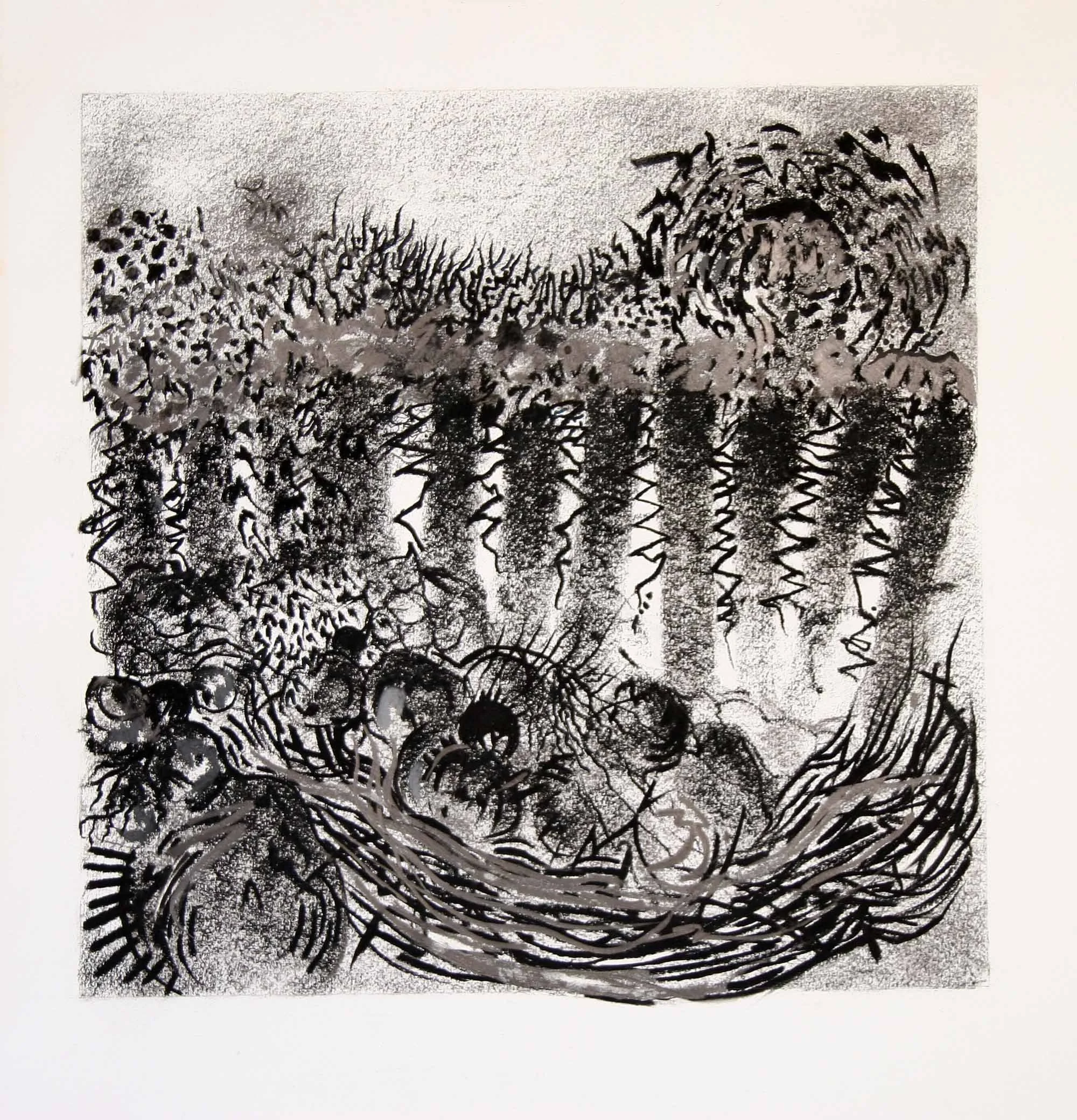 Rift Valley 69x71cm Graphite with chalk