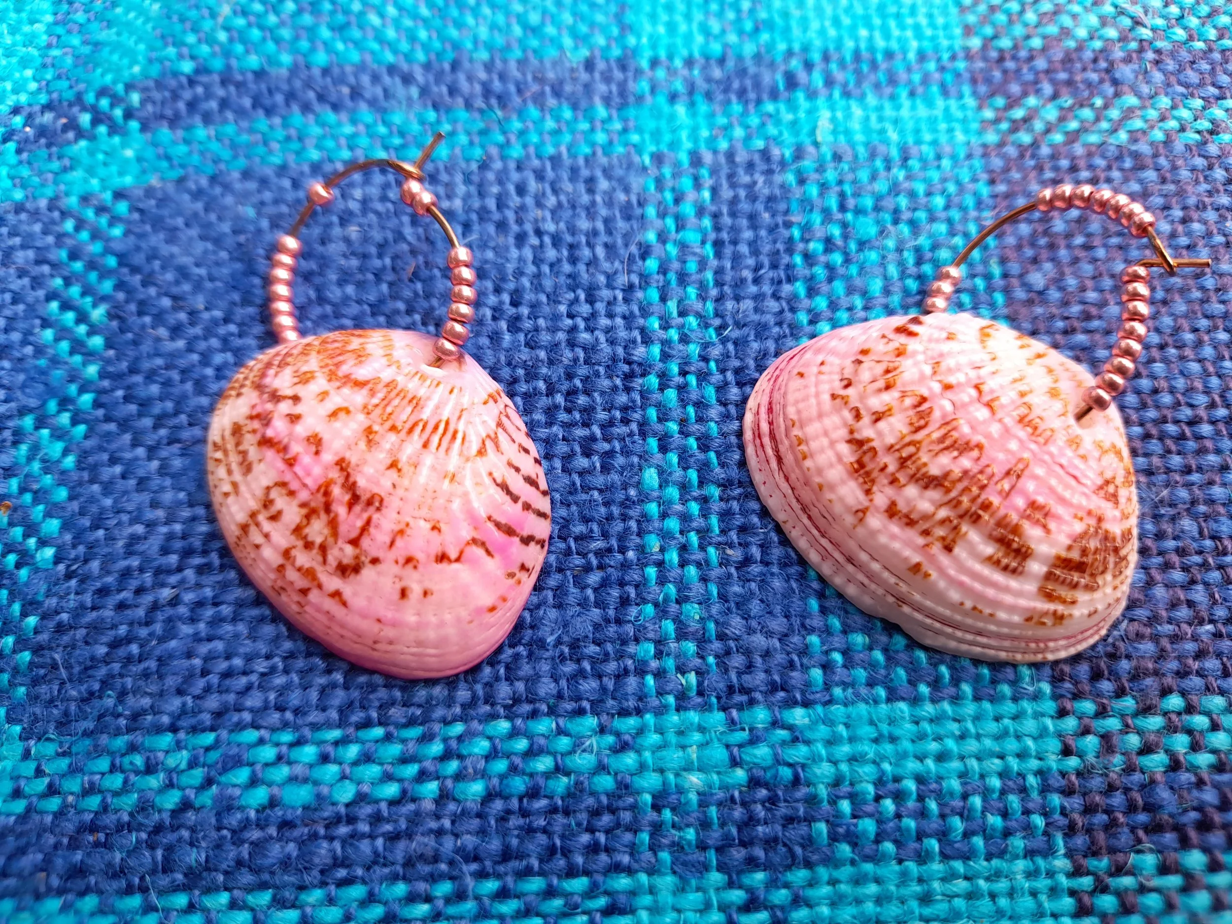 Shells