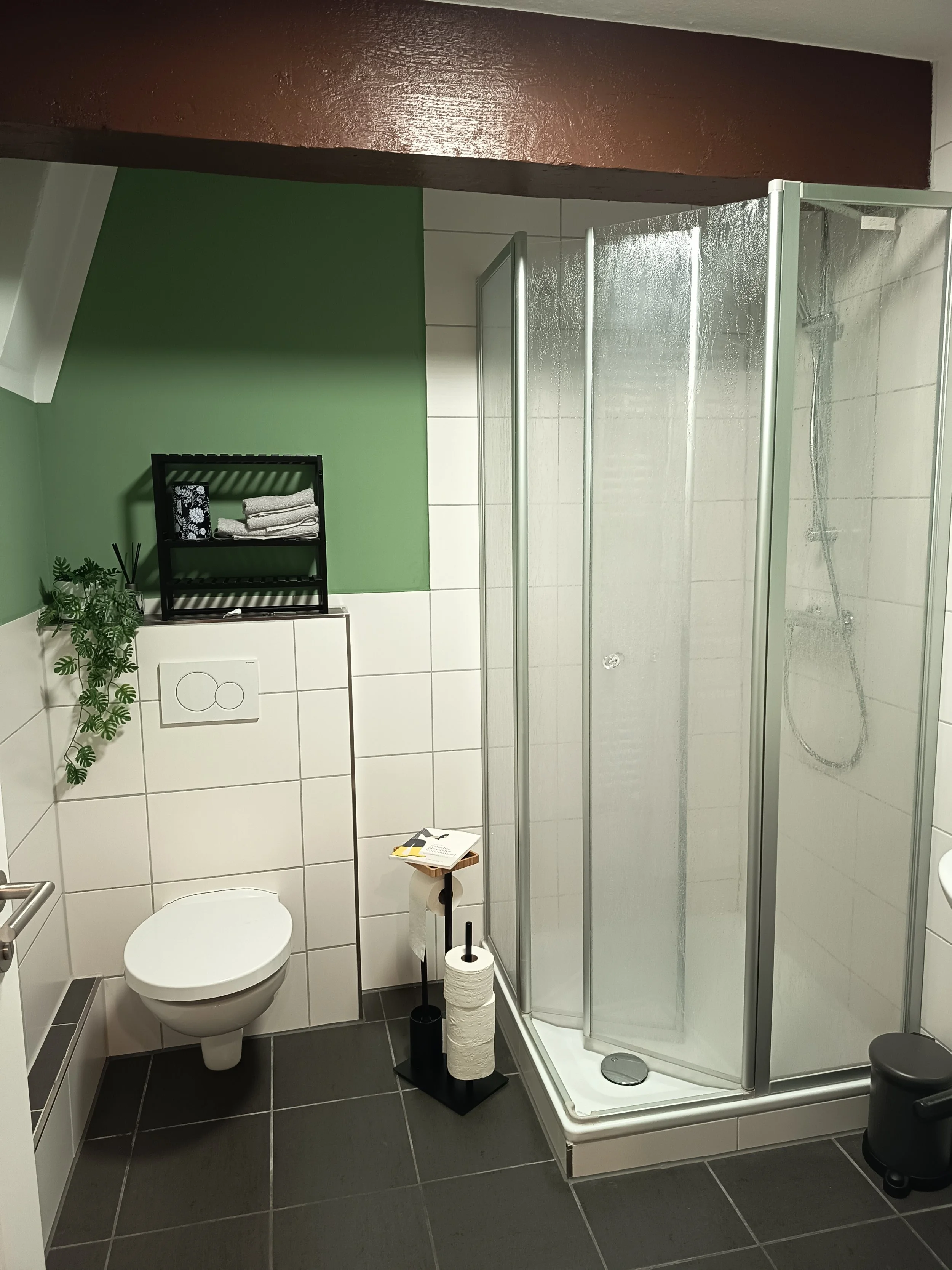 Ein modernes Badezimmer mit weißer Wand, dunklen Fliesen, einer Dusche mit Glaswänden, einem Wand-WC, einer weißen Waschmaschine, einer schwarzen Sitztruhe, einem kleinen Beistelltisch, einer Pflanzenpflanze, einem Handtuchständer mit Handtüchern und einem WC-Rollenhalter.