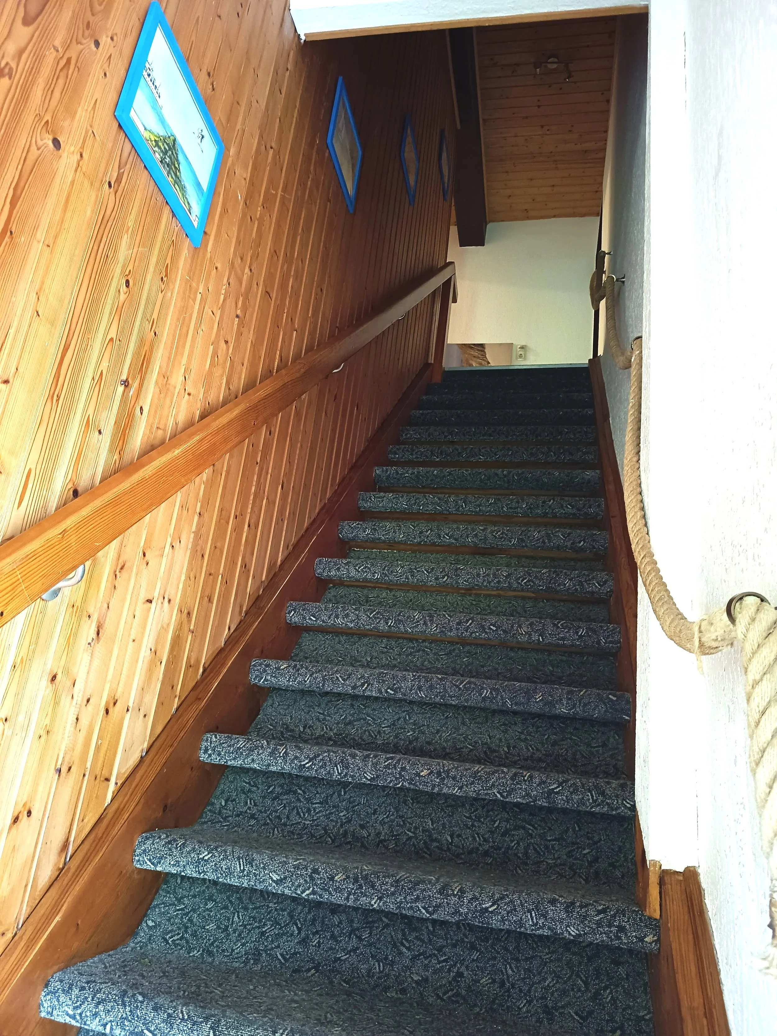 Innenansicht eines Hauses mit Holzverkleidung und Treppe, die mit schwarzem Teppich ausgelegt ist, an der Seite ist eine Seilhandlauf.