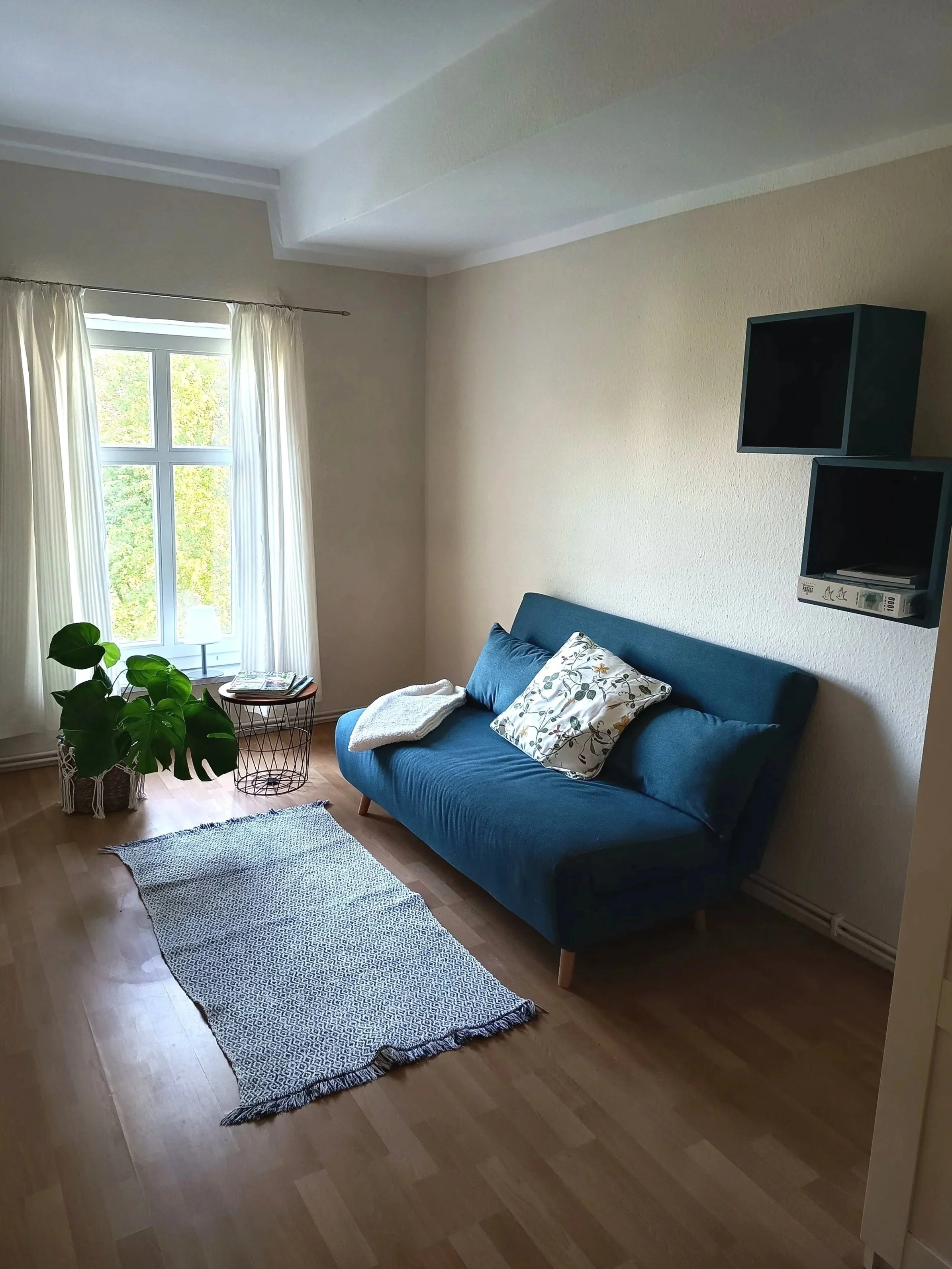 Ein Wohnzimmer mit Holzboden, blauem Sofa, weißen Vorhängen, einer Zimmerpflanze, einem kleinen Beistelltisch mit Zeitschriften, einem Fußbodenstückteppich und zwei schwarzen Wandregalen an der Wand.