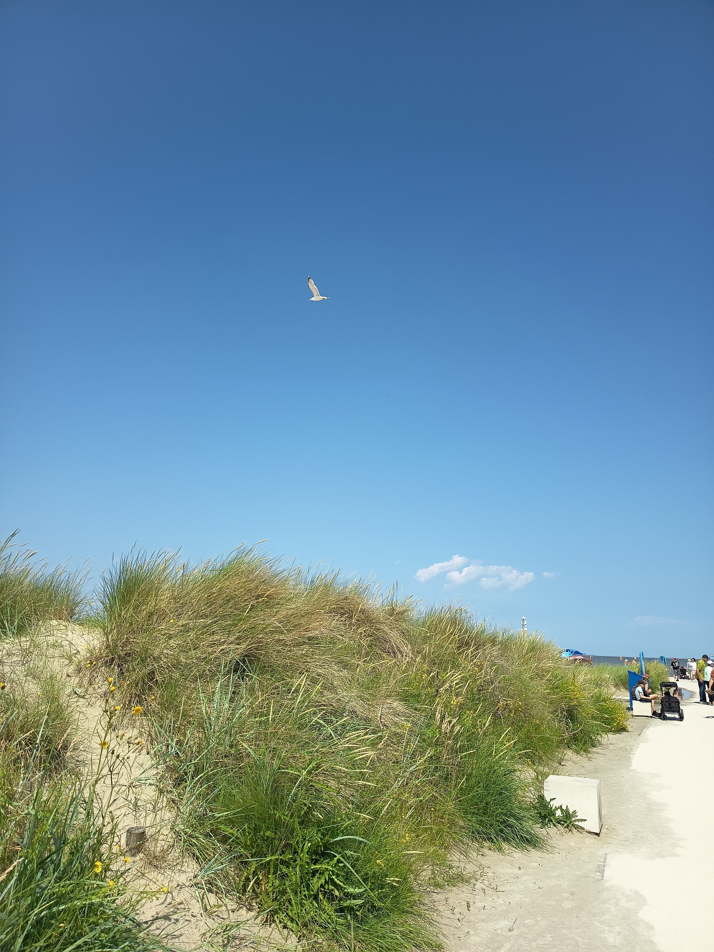 Ein Sandstrand mit Kies, grünen Dünen und Menschen, die am Ufer entspannen und spazieren gehen. Der Himmel ist blau mit wenigen Wolken.