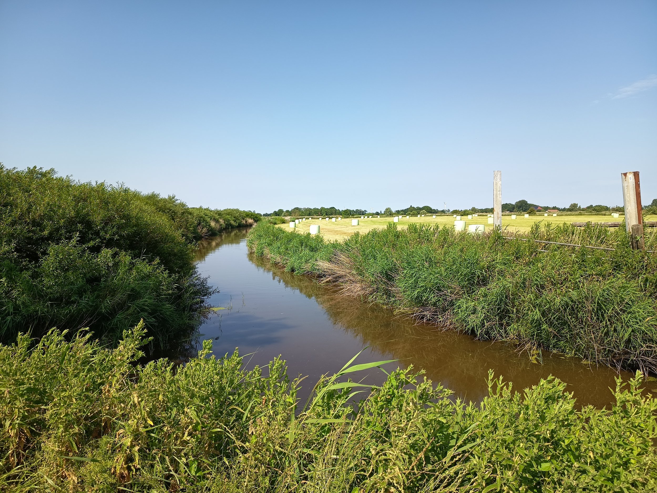 Ein schmaler Fluss fließt durch eine grüne Landschaft mit Buschwerk und Feldern, mit einem blauen Himmel im Hintergrund.