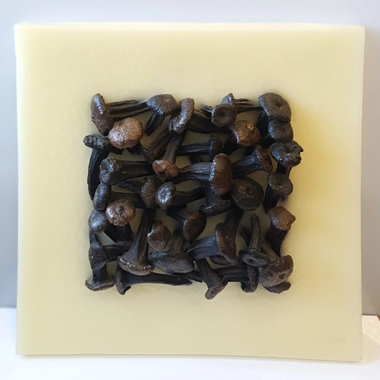 Quadro Lemani cera con funghi