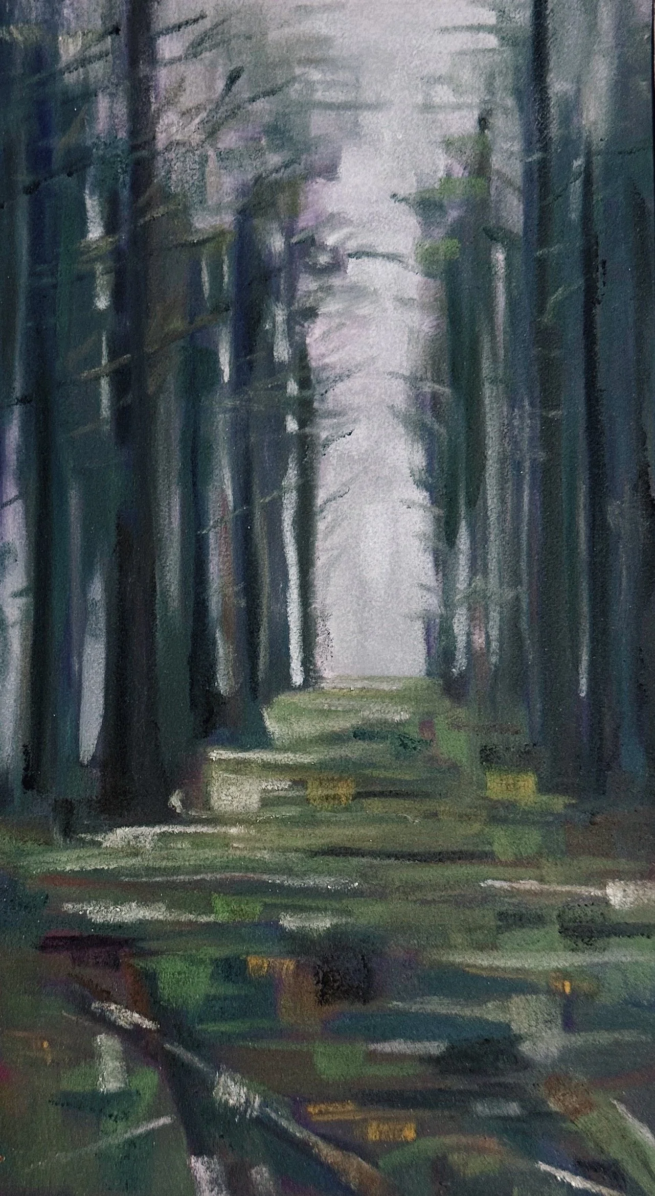 I Told the Trees,
Soft Pastel on paper, 2024
40 × 28 cm
Pastel Society of Western Australia Exhibition, 2024,
Available