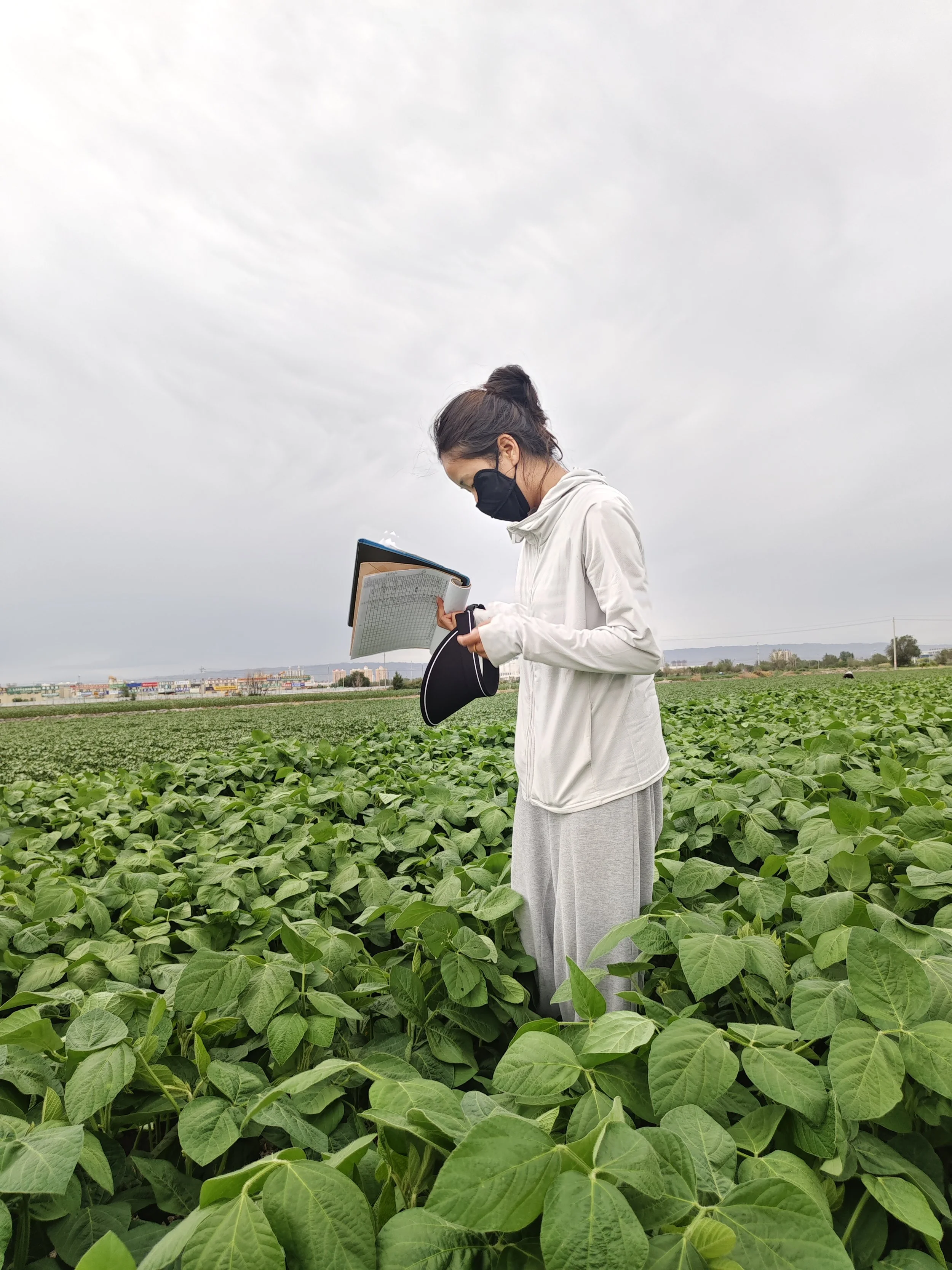 A woman wearing a face mask standing in a lush green soybean field, holding a notebook and pen, with an overcast sky above.