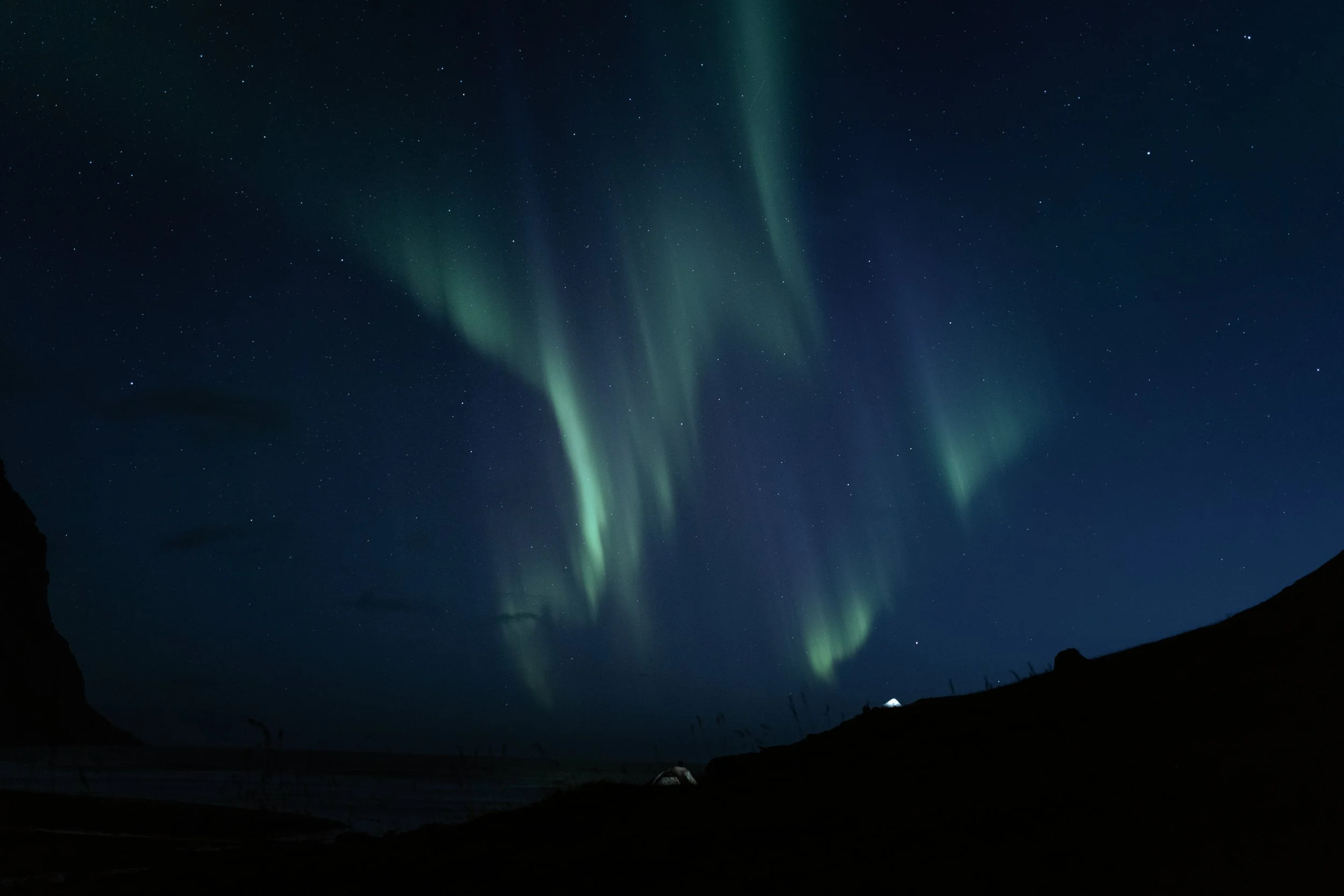 Honeymoon in Lofoten: Three Weeks, Two Spaniels and One Old Defender