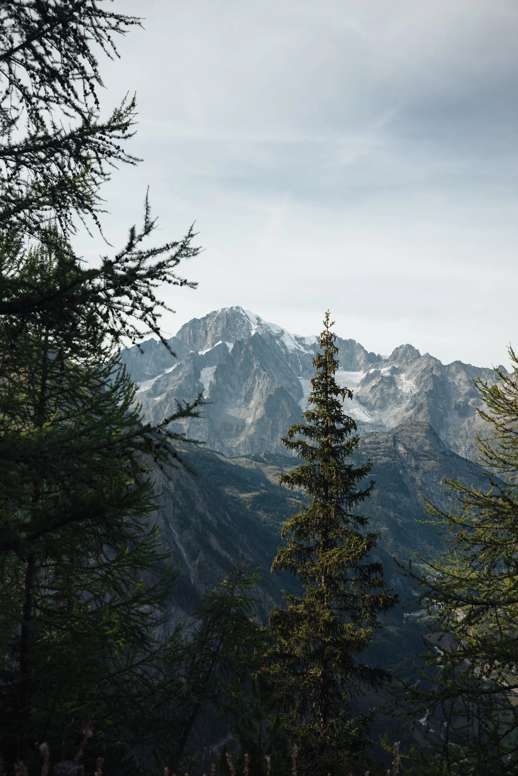 Snow-capped peak framed by pines, shot on the R5