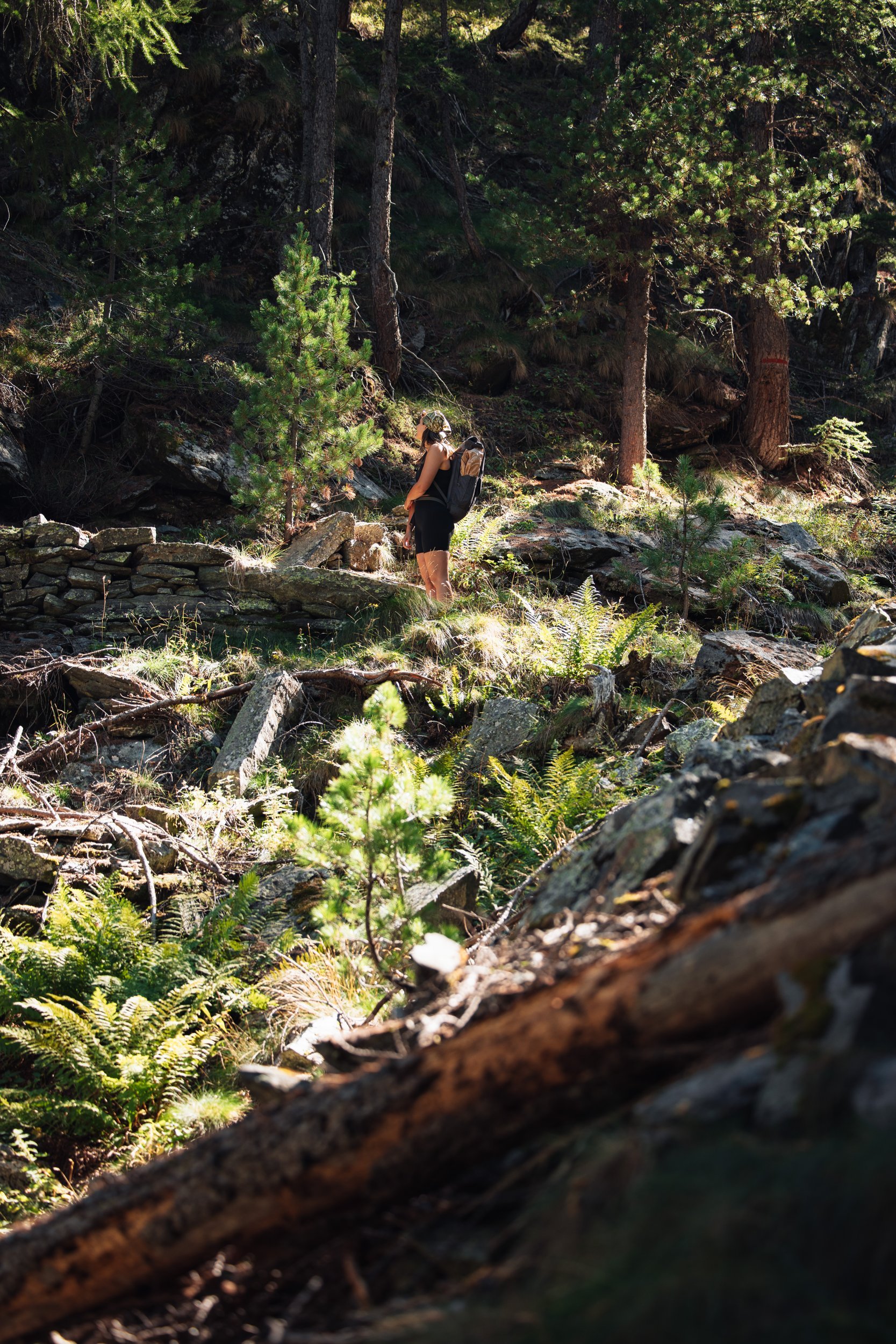 Hiker on a sunlit forest trail, shot on the R5