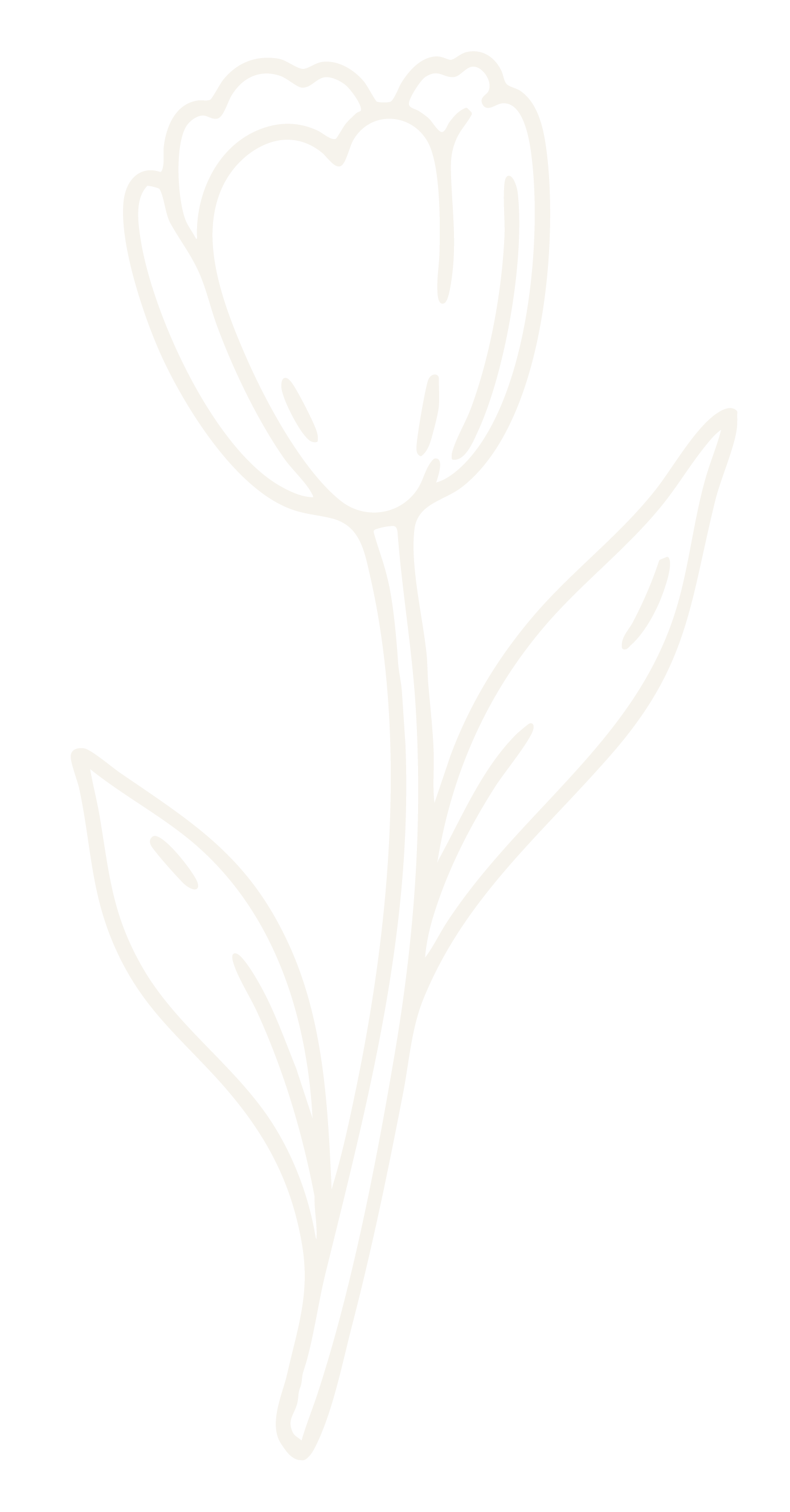 Outline of a tulip flower with two leaves on a black background.