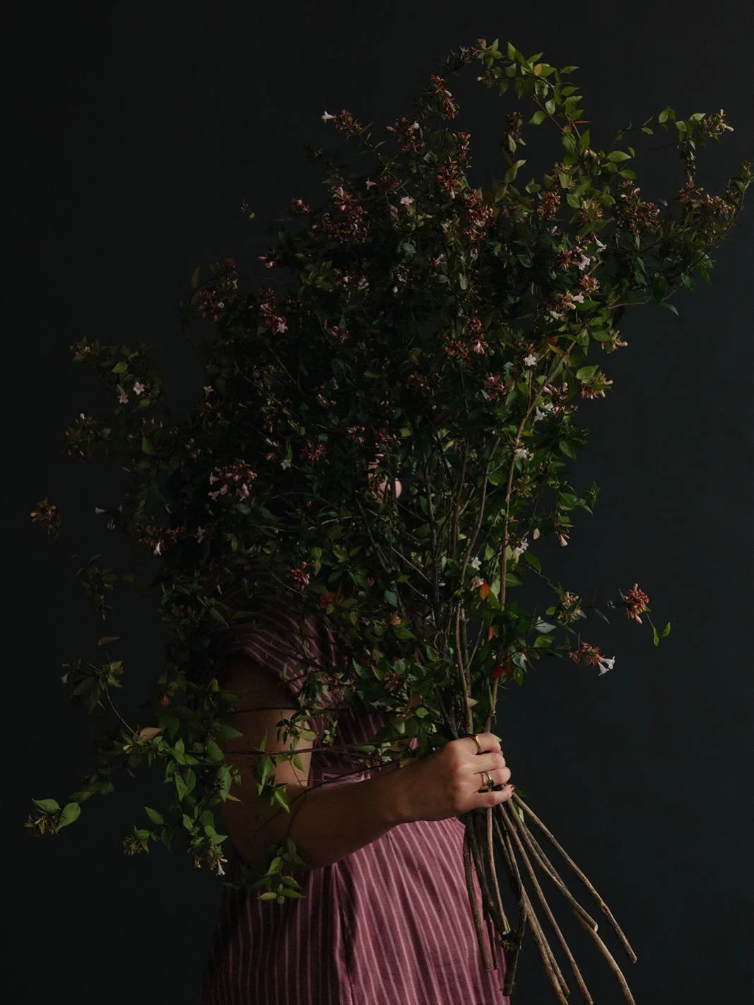 A study of my ongoing love affair with an abelia bush

📸 @thearchivist_rachelmeagan 

#dallaswedding #dallasflorist #eventflorist #dearmadalynn #weddingflorist