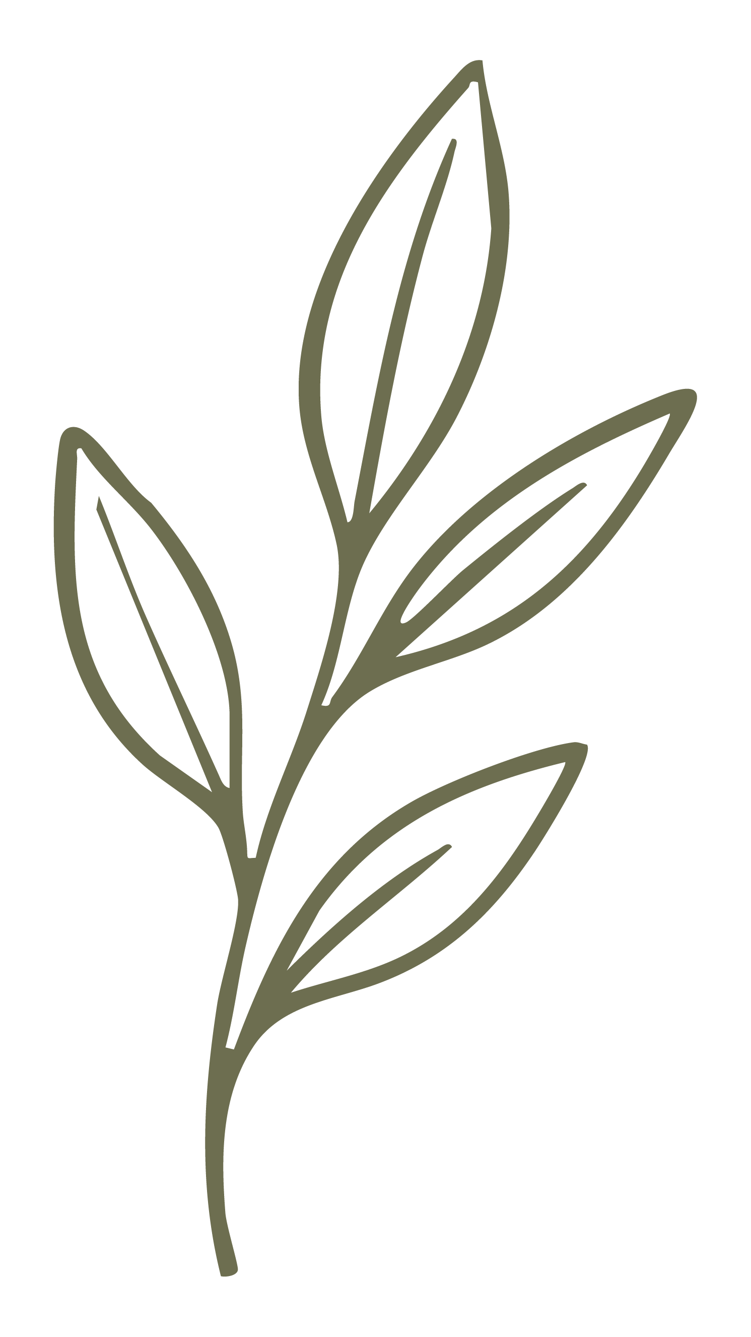 A minimalist, line art illustration of a plant with multiple elongated leaves on a black background.