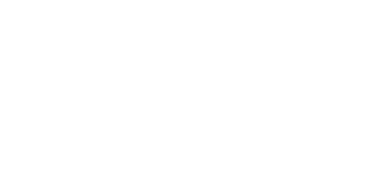 Logo of Higher Rise Access Consulting with the words 'HIGHER RISE' in large bold letters, featuring a city skyscraper silhouette as part of the design, and 'ACCESS CONSULTING' written below in smaller font.