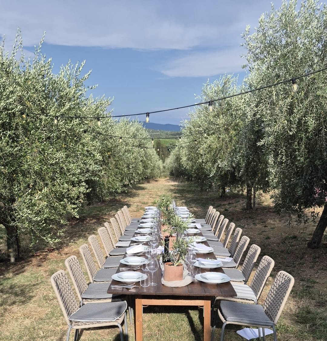 A long outdoor dining table set with plates, glasses, and potted plants, surrounded by chairs, in an olive grove with string lights overhead in Tuscany at the castello de nero, Como hotel for a group celebration for a birthday