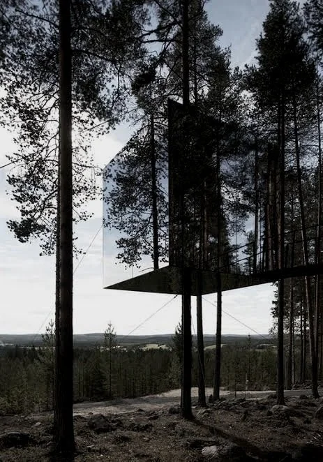 A modern glass building in a forest, reflecting trees on its surface, with a view of the sky and distant horizon at Tree Hotel, sweden, lapland, architectural hotel