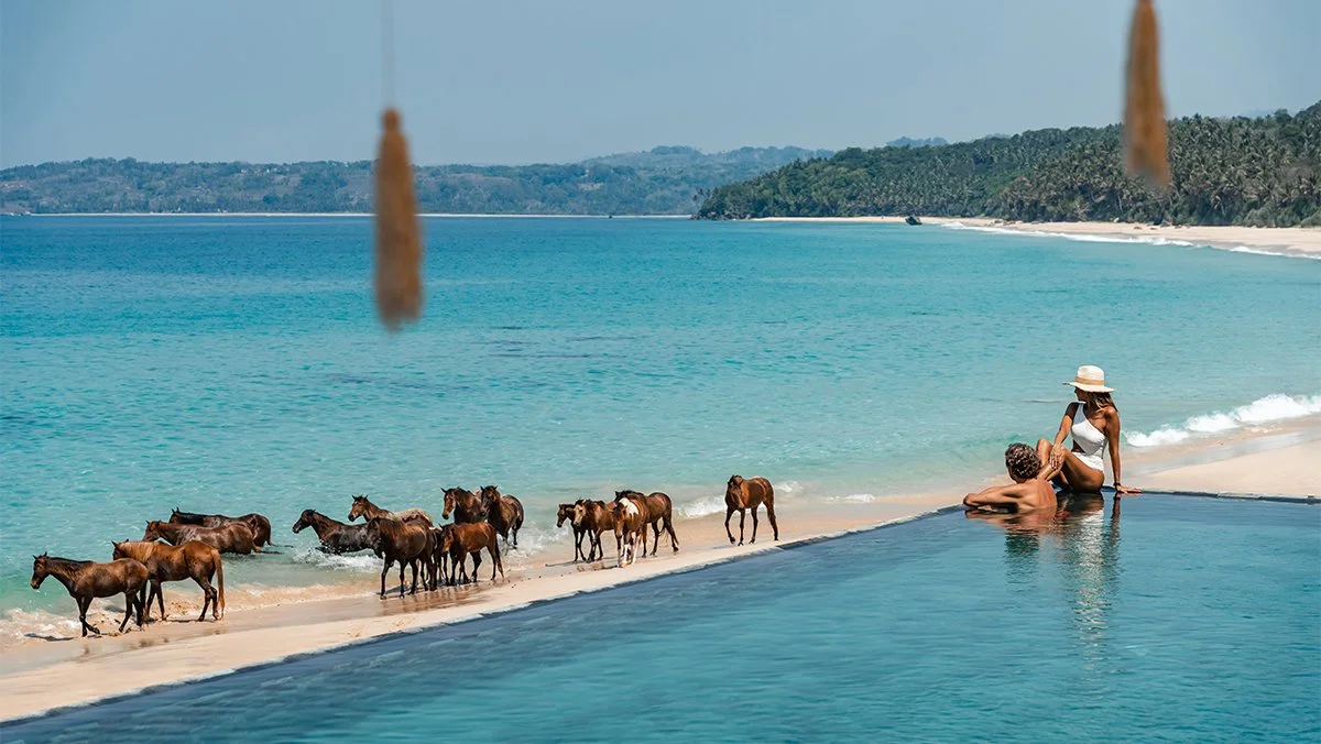 Wild horses on the beach beside the infinity pool at NIHI Sumba, Indonesia.