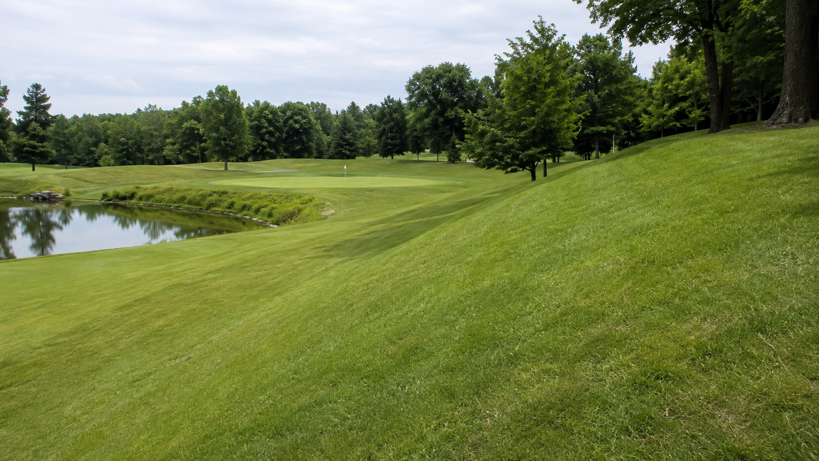 A scenic golf course with green grass, a pond reflecting trees, and a flag on the putting green in the distance, surrounded by trees under a partly cloudy sky.