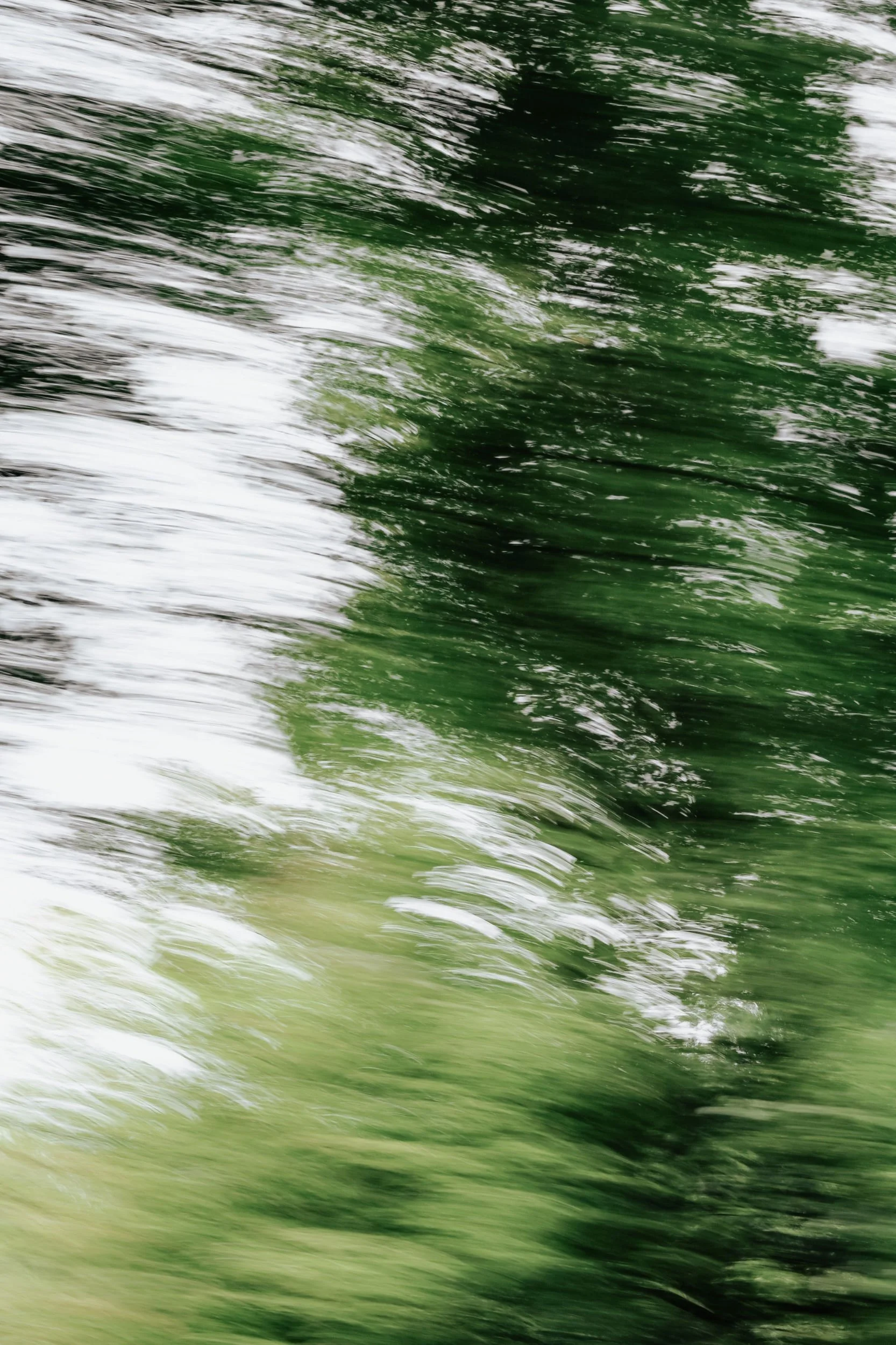 Blurred image of green and white streaks, resembling motion or water reflections.