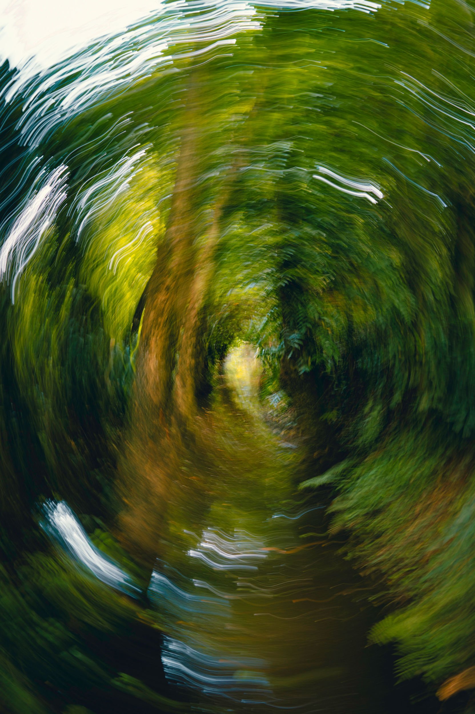Blurred view of green trees and blue sky with rippling motion effect.