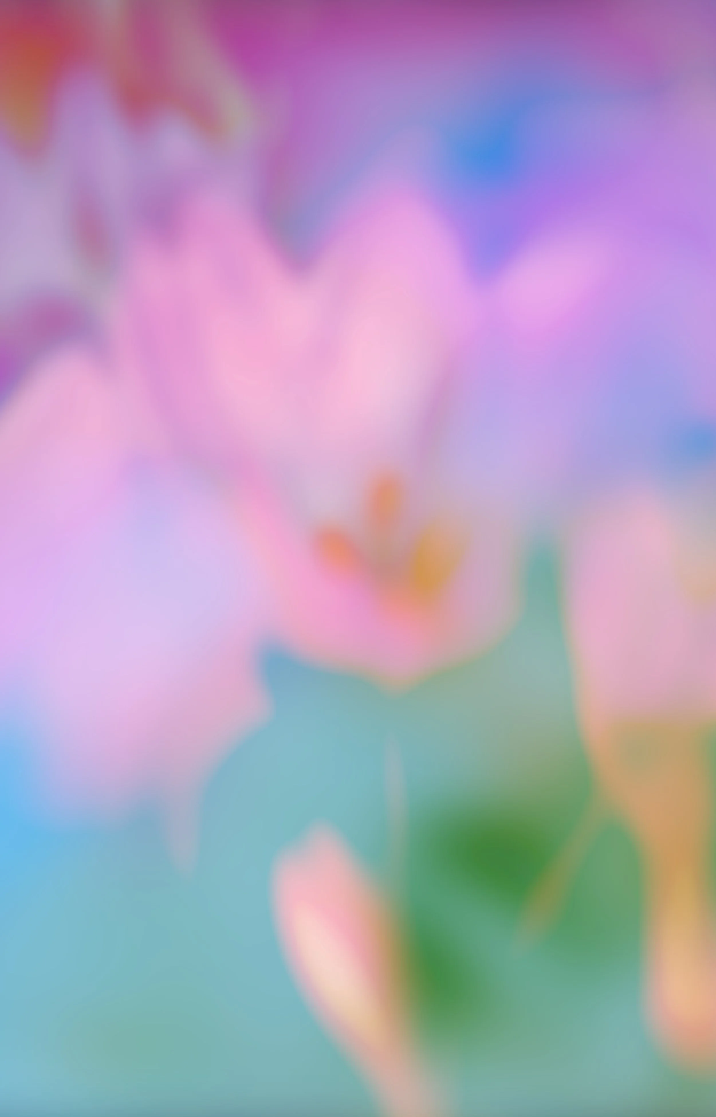 Blurred pastel-colored flowers against a light blue background.