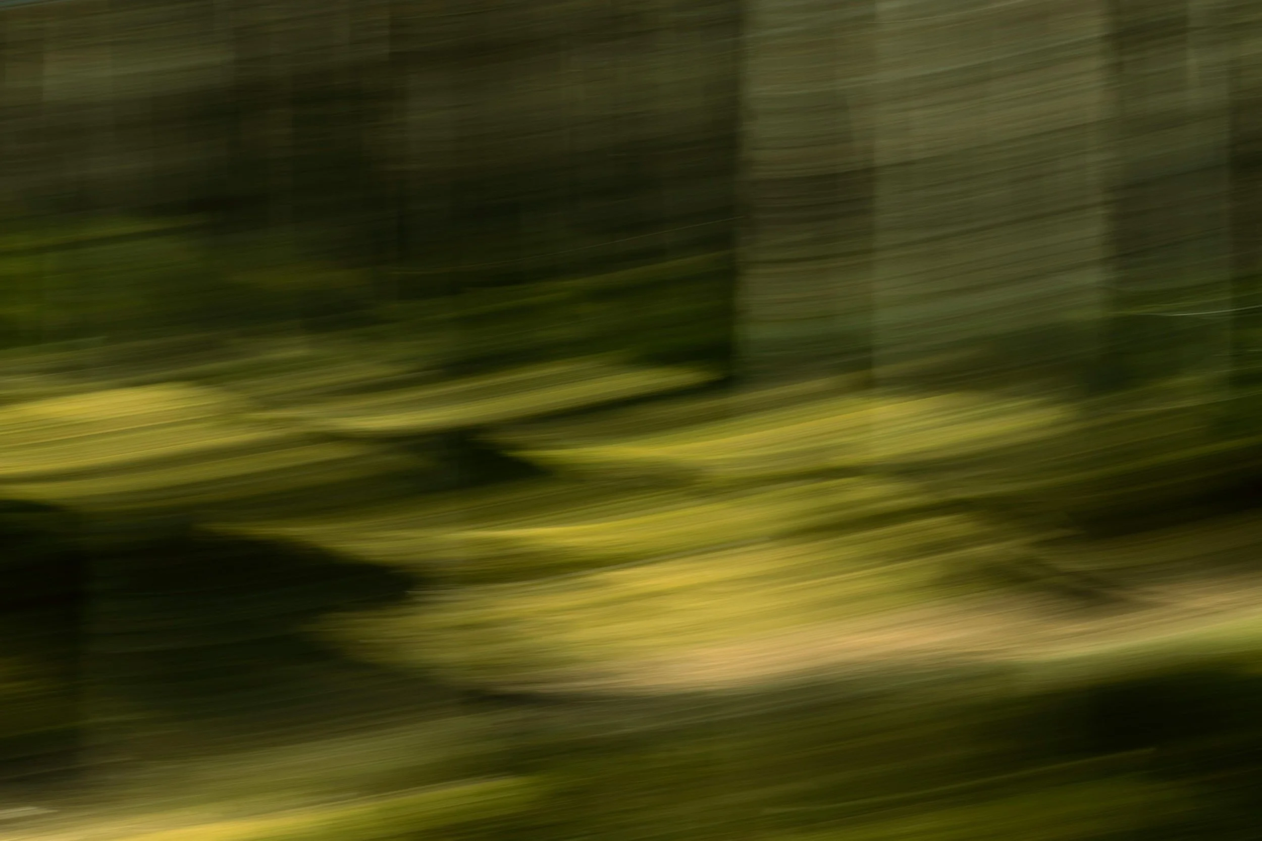 Blurred close-up of stacked logs or wooden planks, showing their greenish-brown edges.