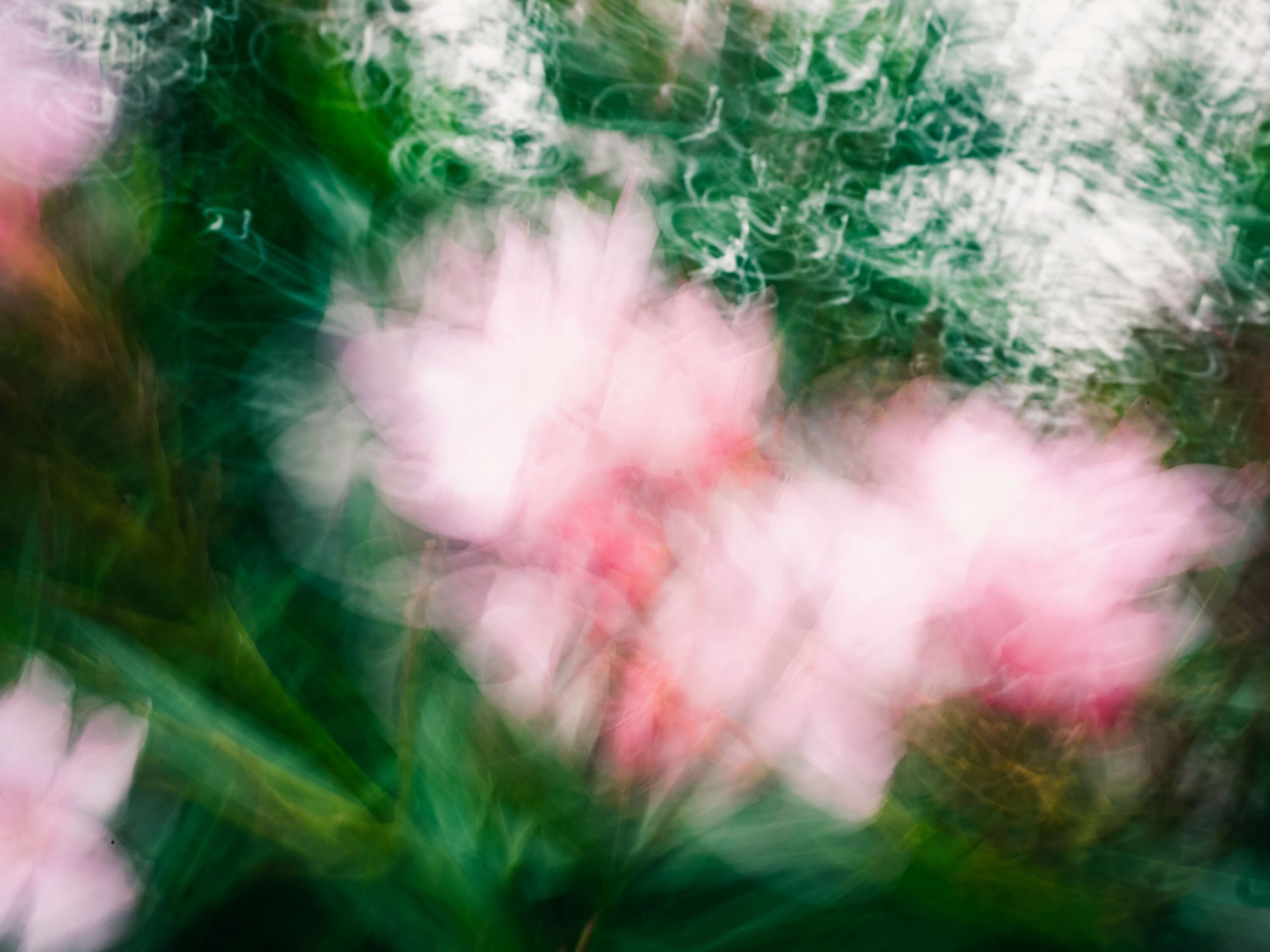 Abstract colorful background with green, pink, and white hues, exhibiting a blurred, bokeh effect with swirling light patterns.