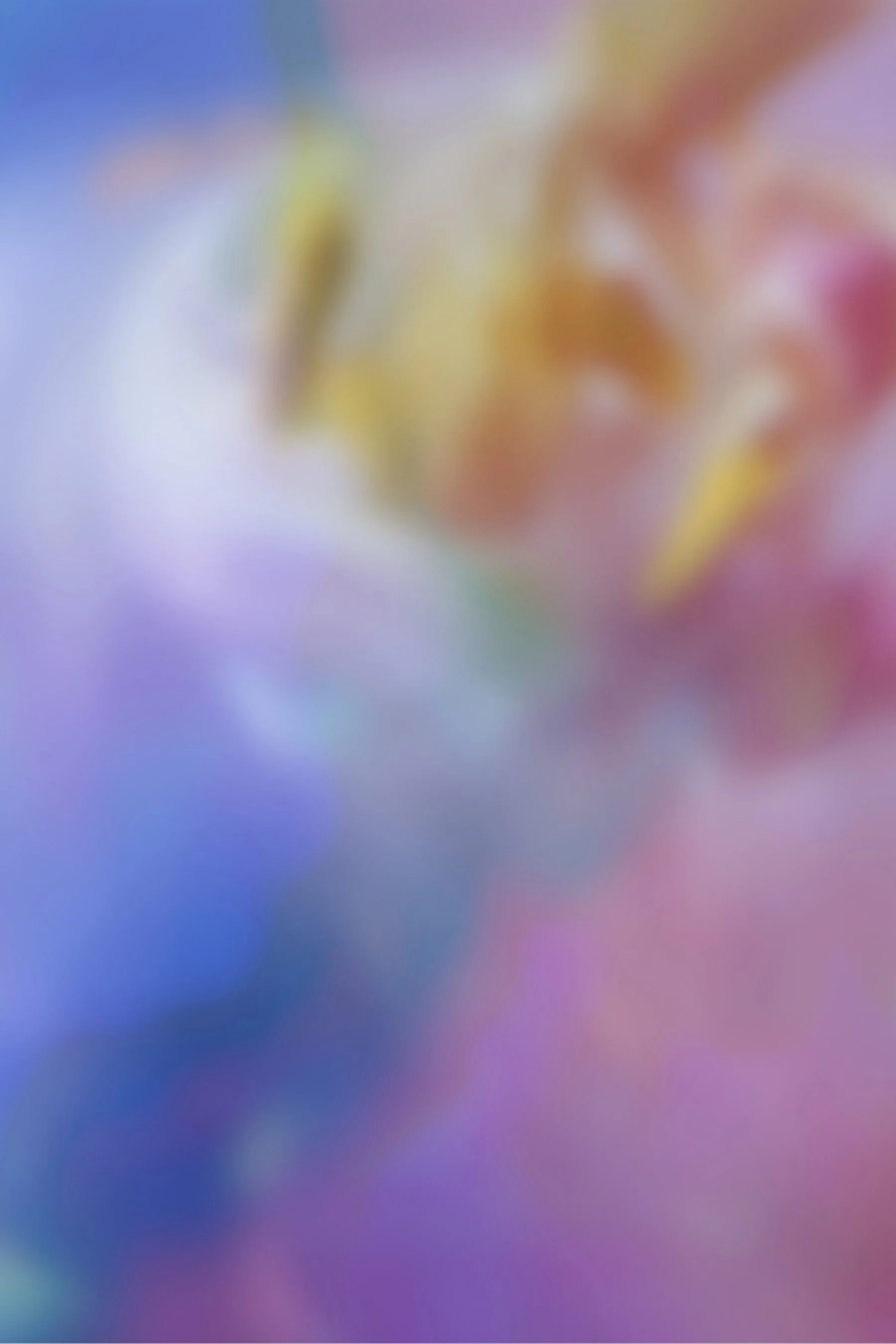 Blurred colorful background with shades of blue, purple, pink, green, and yellow.