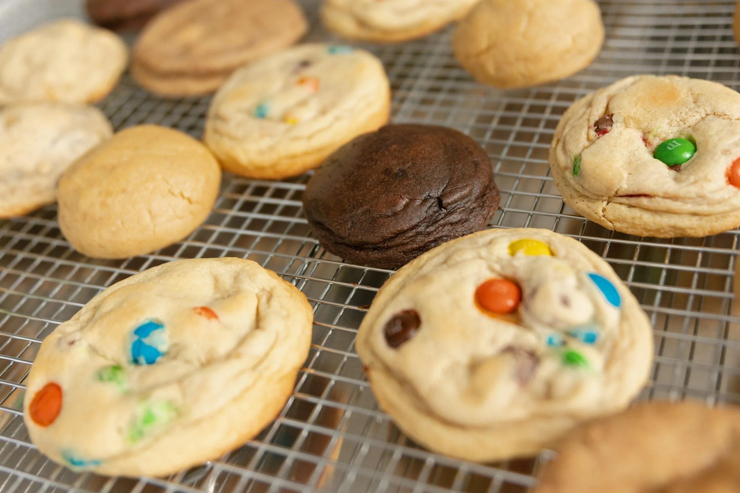 HastingsBakery-40.jpg