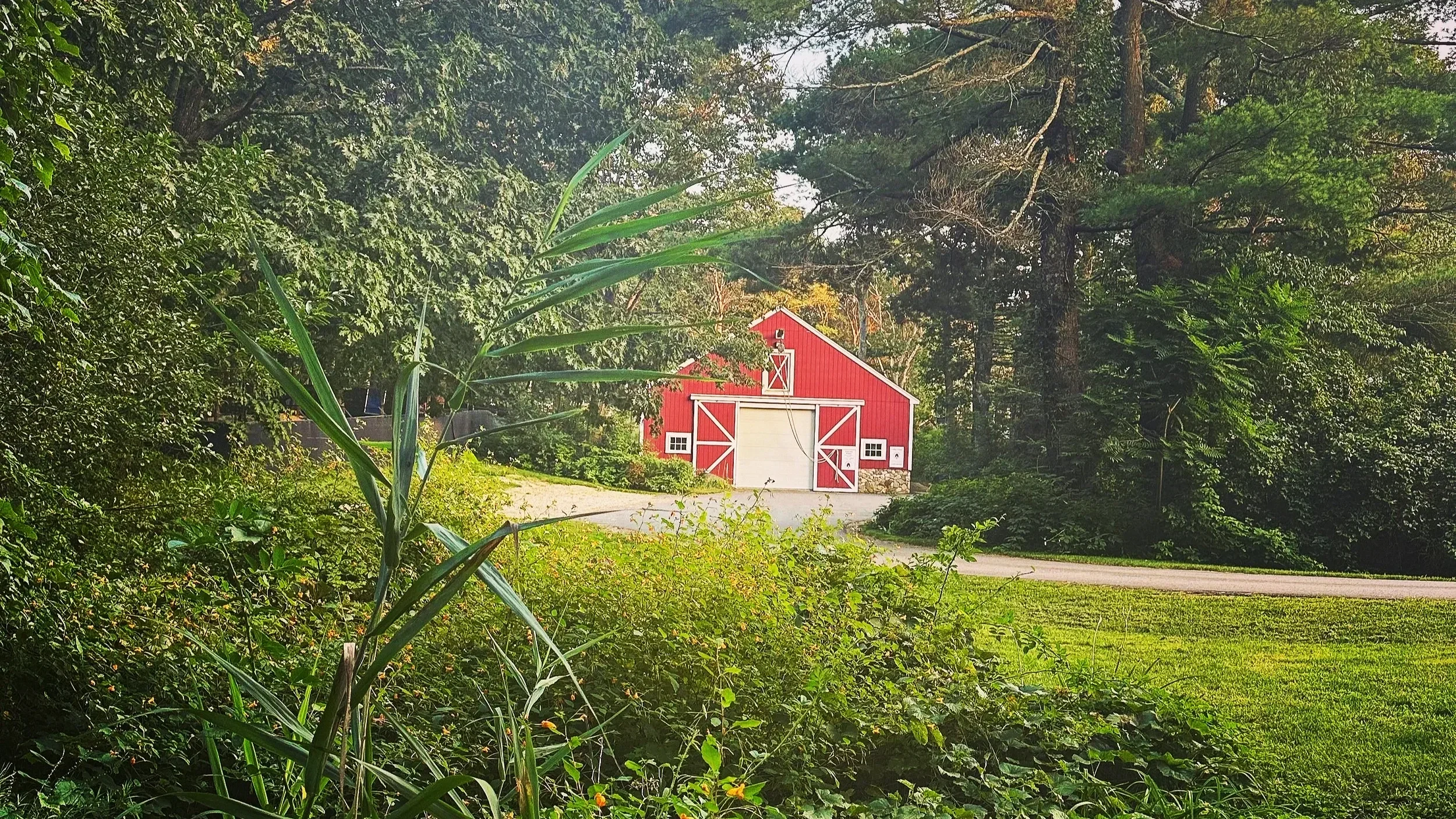 A red barn with white doors and trim, surrounded by lush green trees and plants.