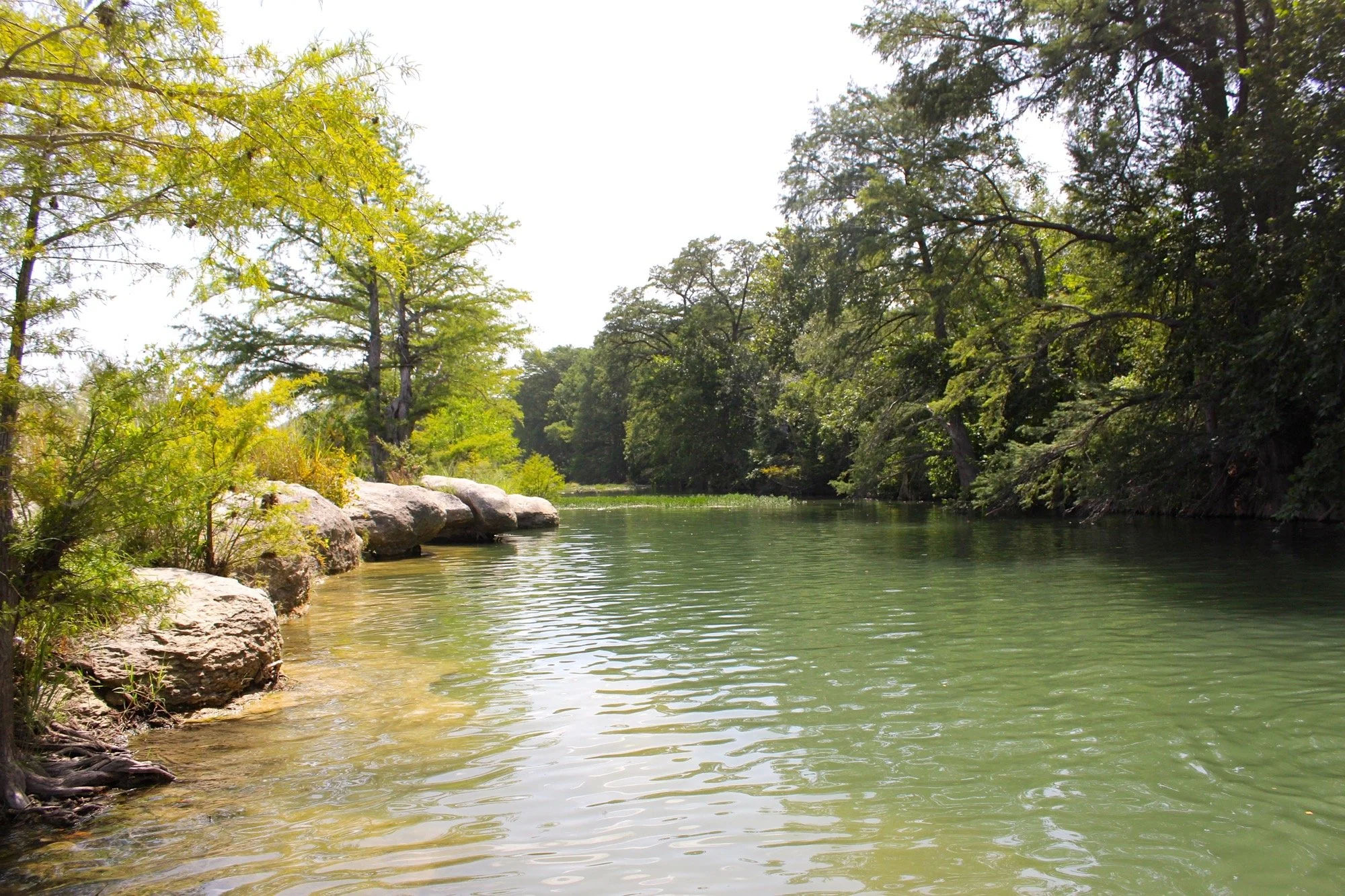 Calm river or lake scene with rocks along the shoreline, dense green trees on either side, and a reflection of the trees on the water's surface.