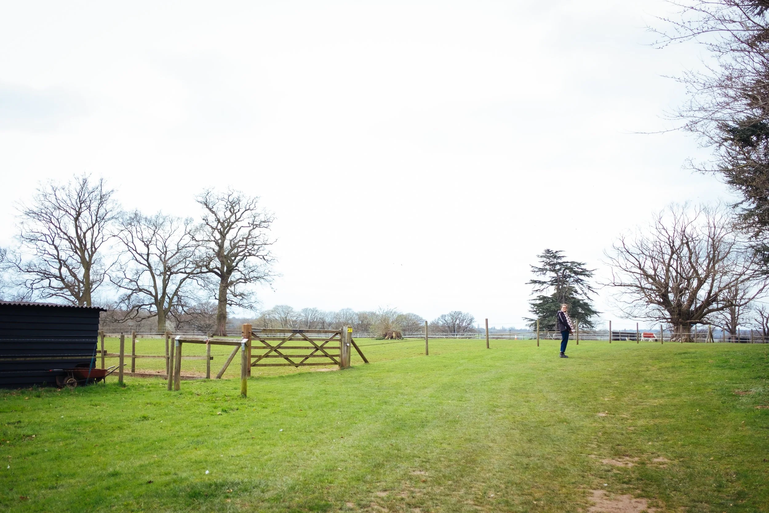 DSCF0512.jpg