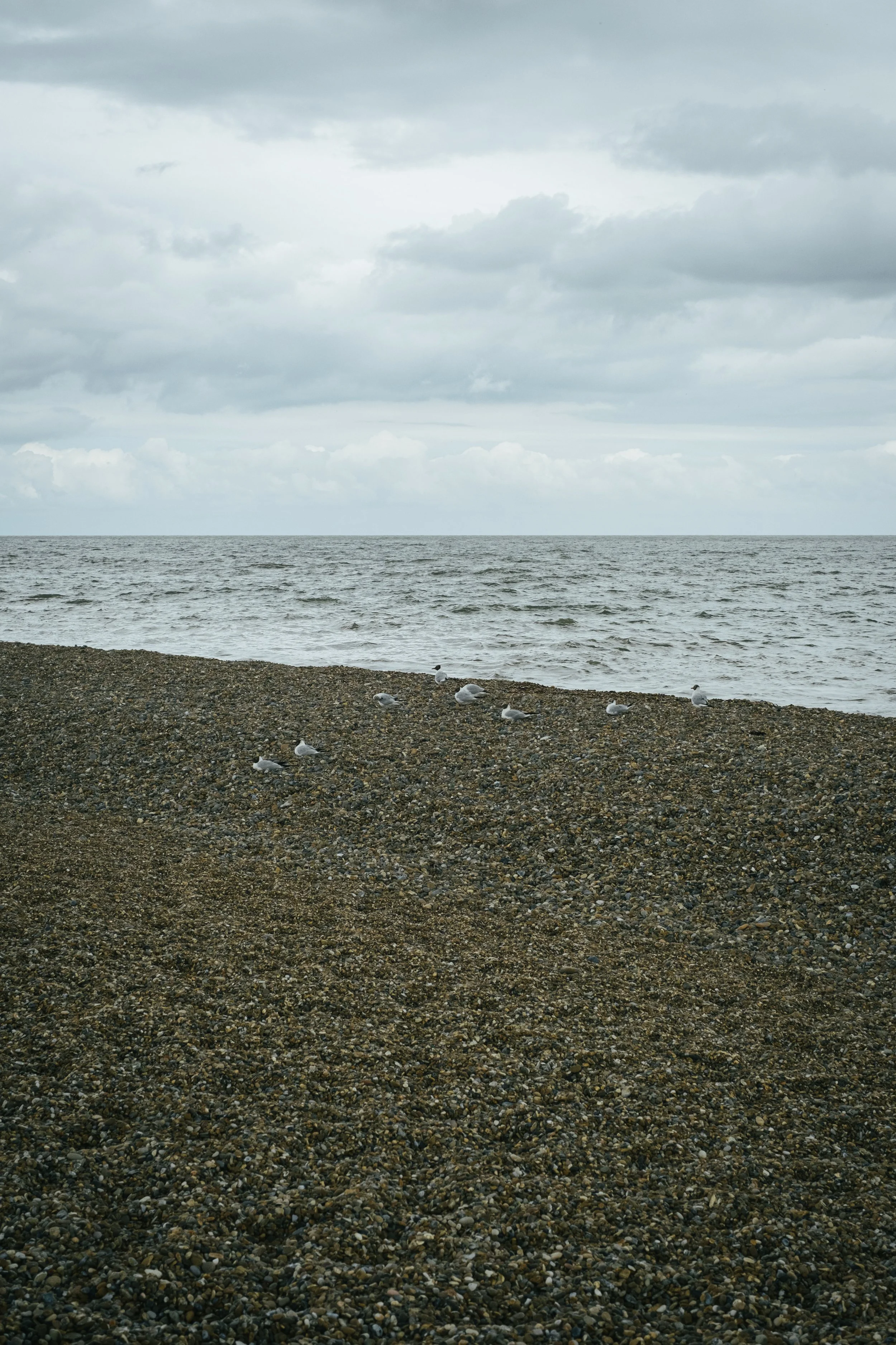 DSCF4181.jpg