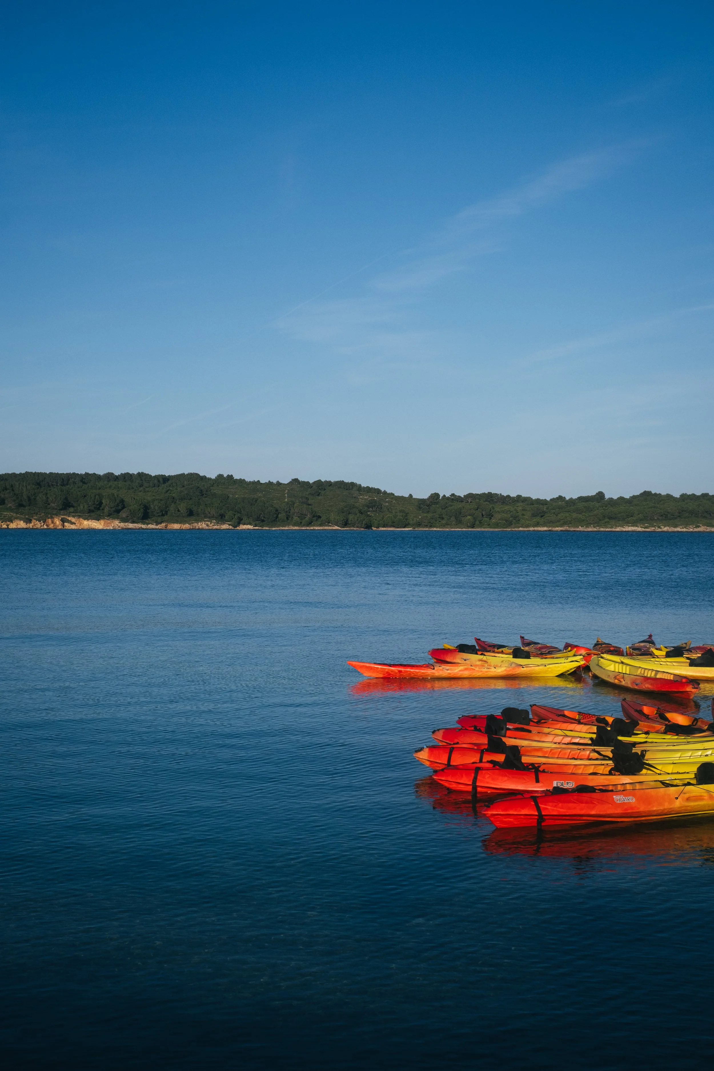 DSCF8170.jpg