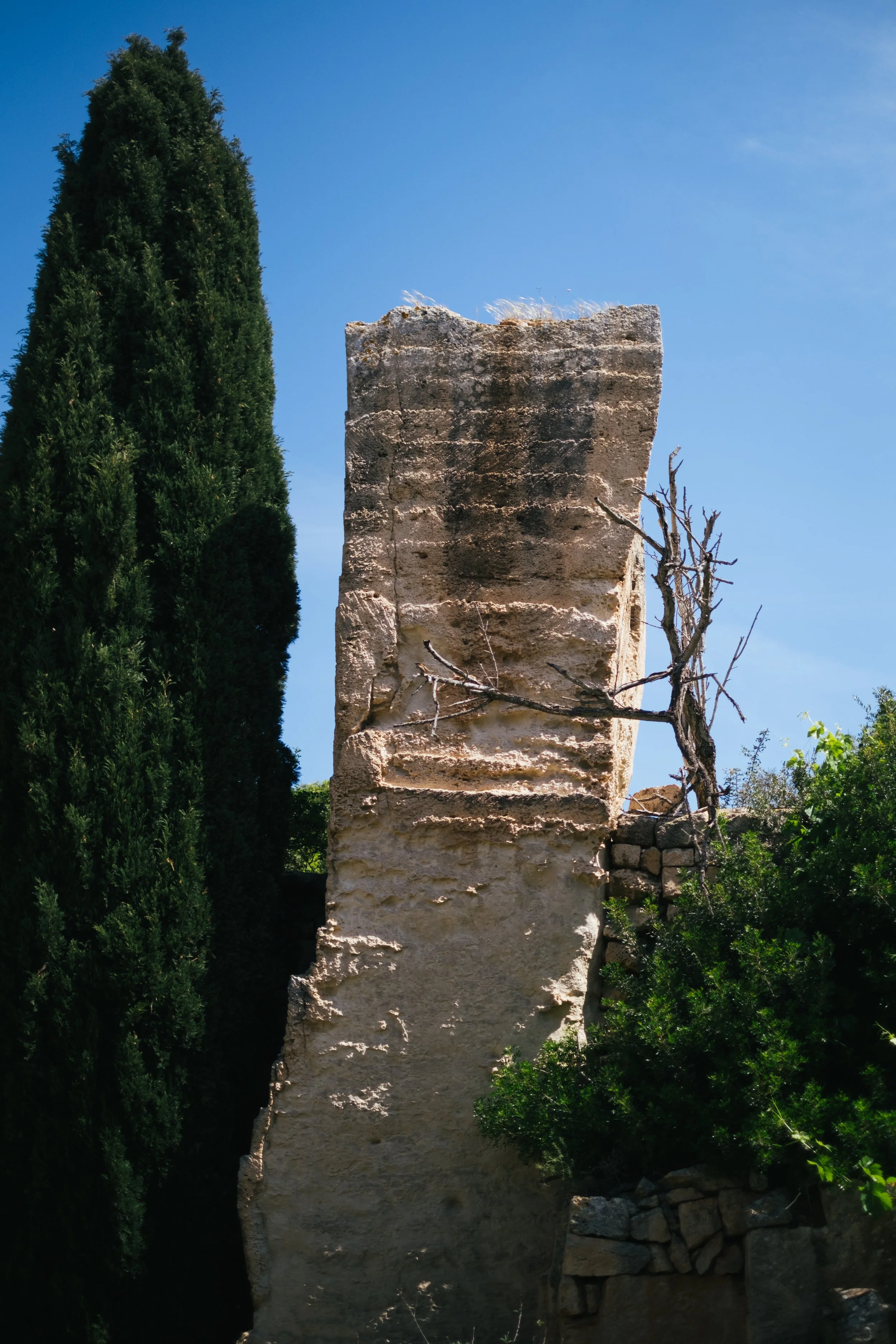 DSCF7611.jpg