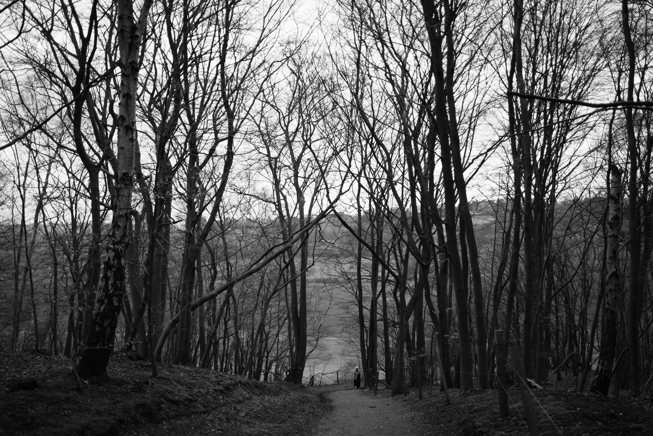 DSCF0540.jpg