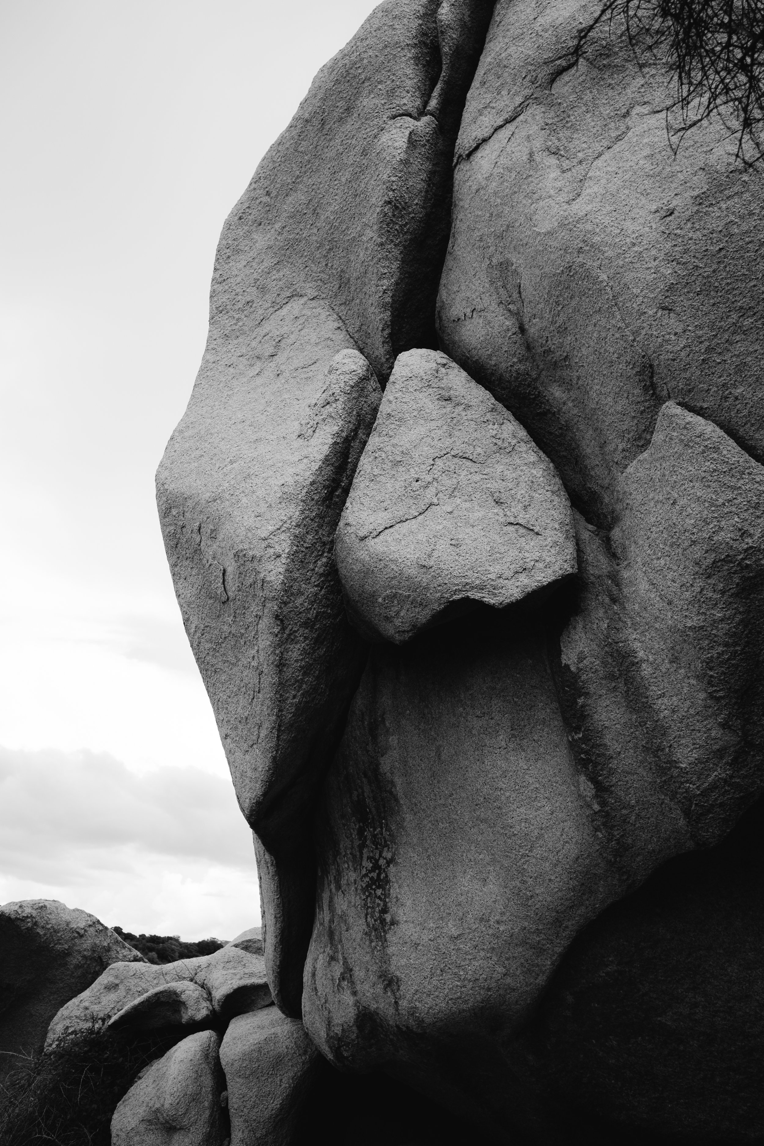 DSCF1256.jpg