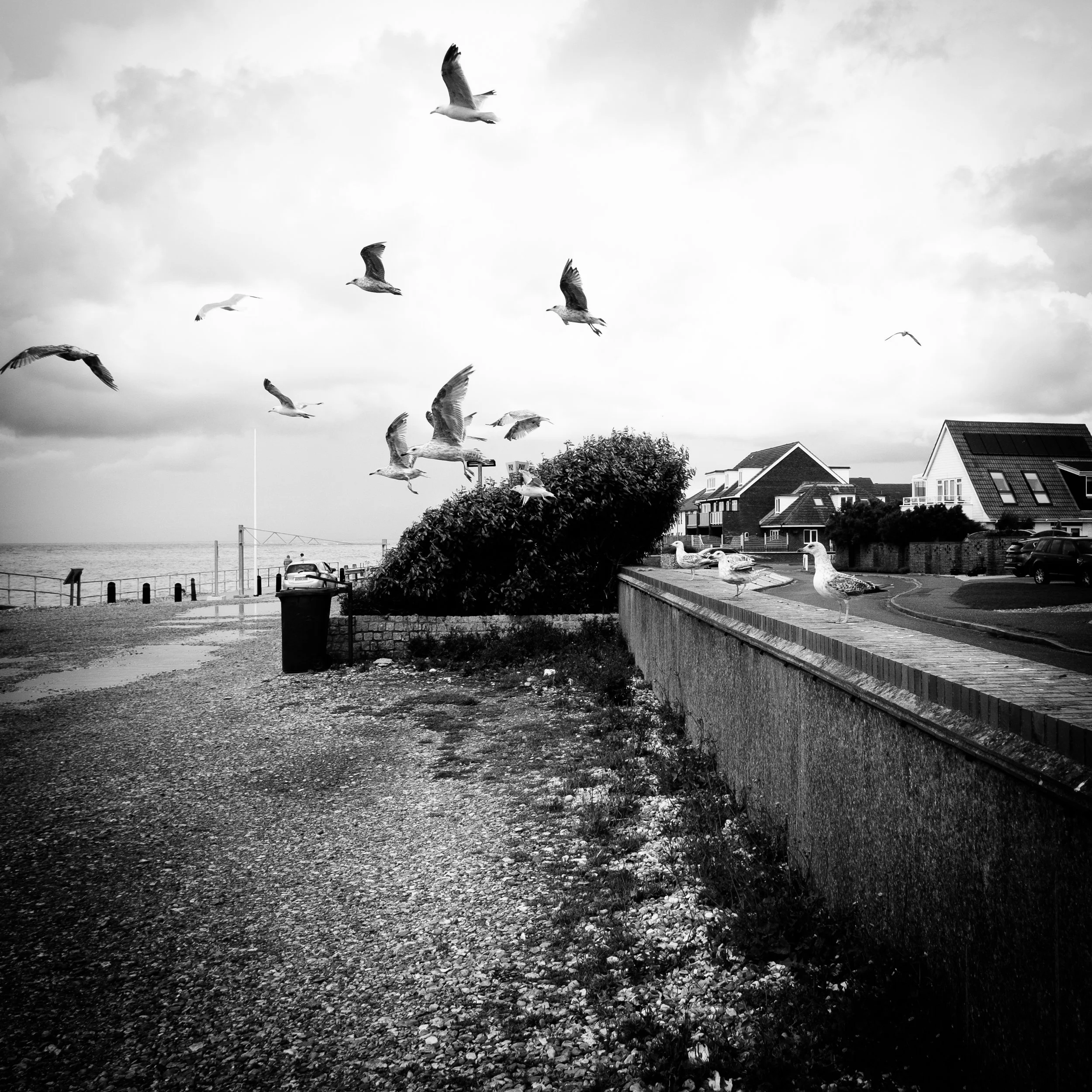 DSCF4901.jpg
