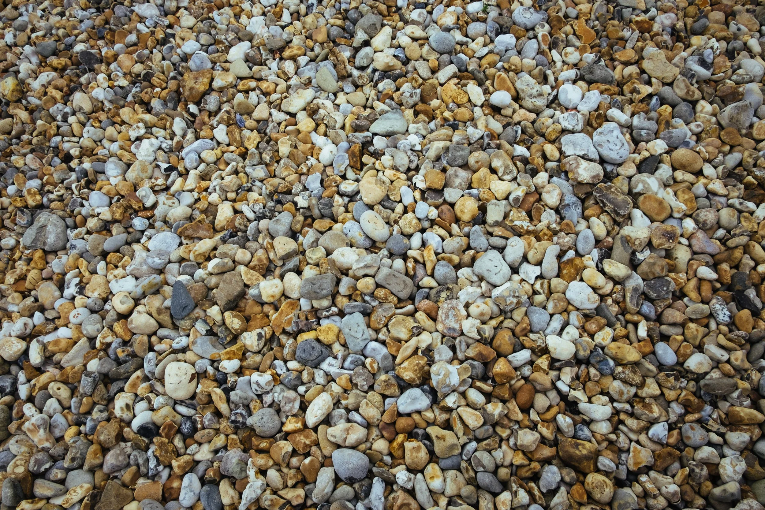 DSCF4924.jpg