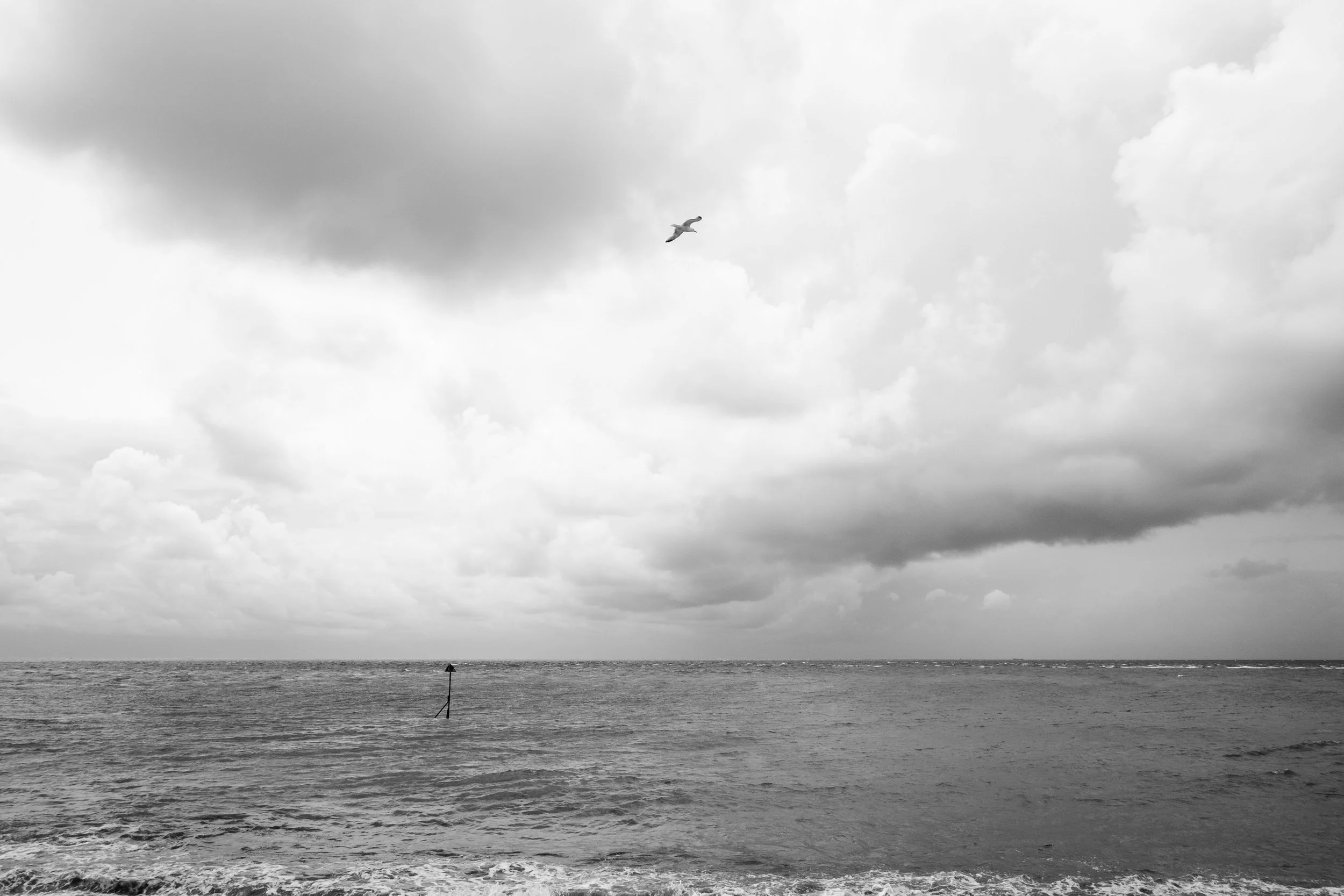 DSCF4921.jpg
